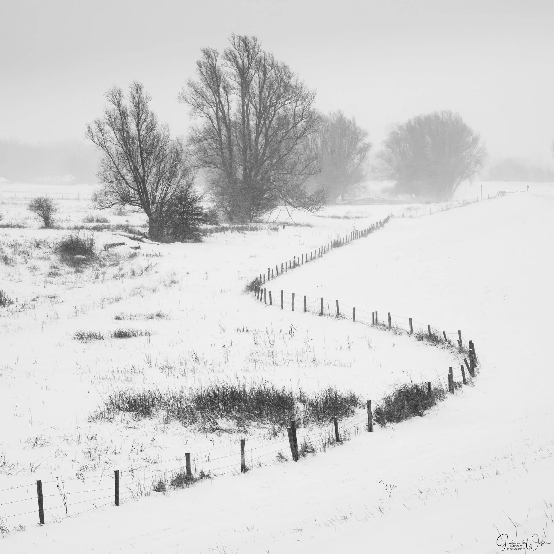 Snow-covered rural landscape with bare trees and a fence winding through the field, foggy atmosphere.