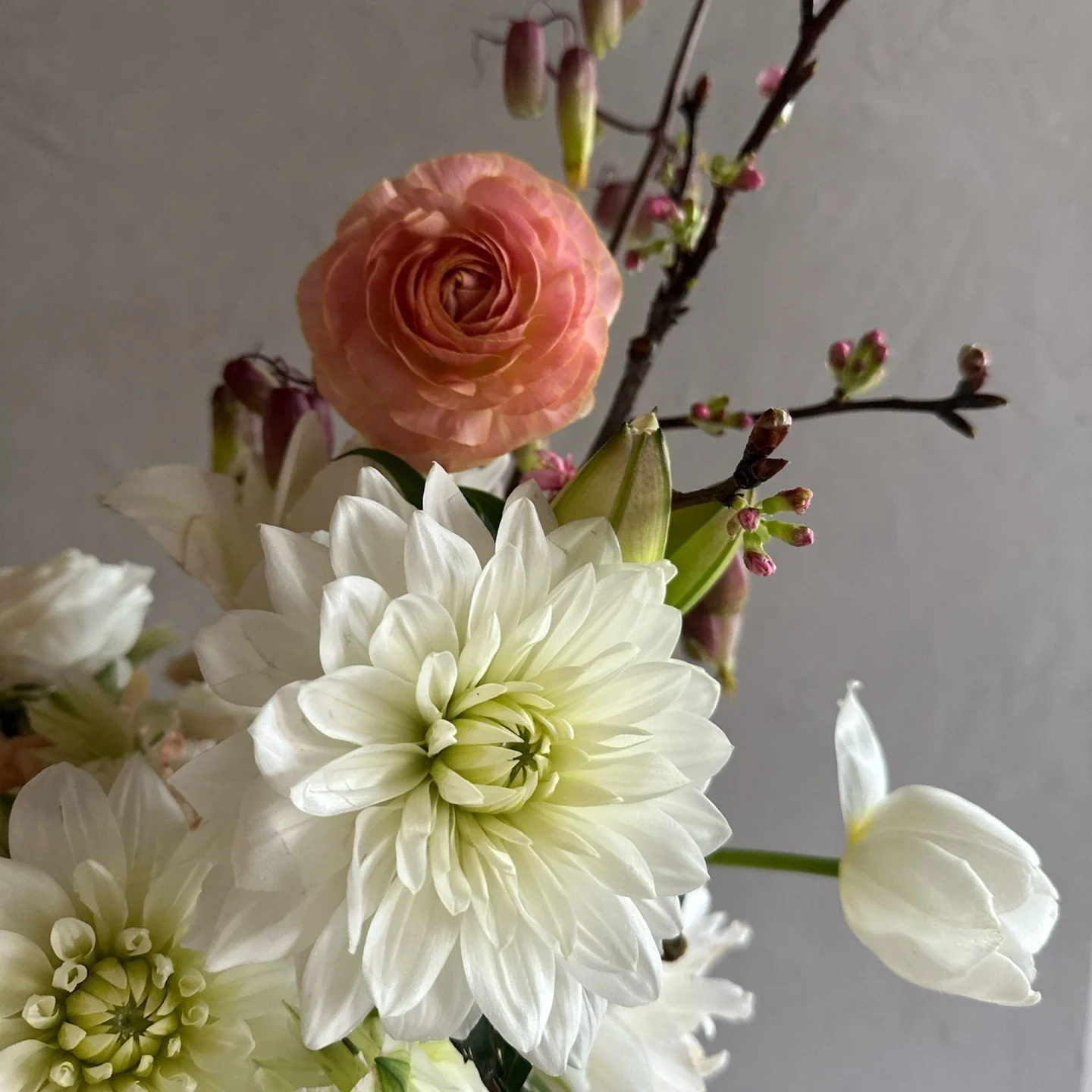 Light &amp; Airy 🕊️