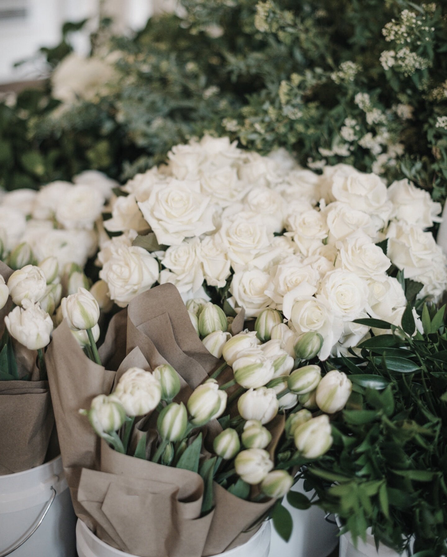 Pure love needs no words. White blooms, soft layers, and timeless beauty -created for love that feels calm, sincere and everlasting. 

Valentine&rsquo;s bouquets are now available for pre-order. We made with intention and hand tied with love.

DM or 