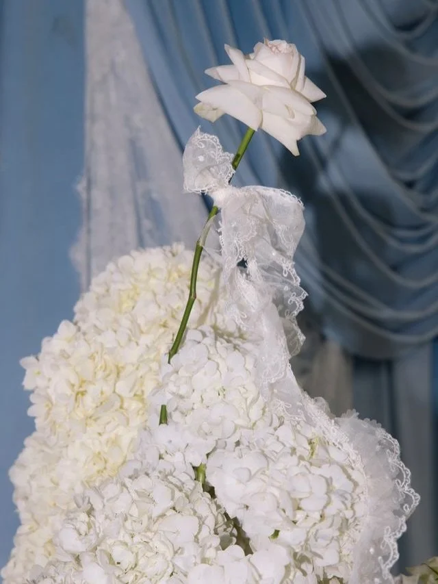 Into the details 🦢