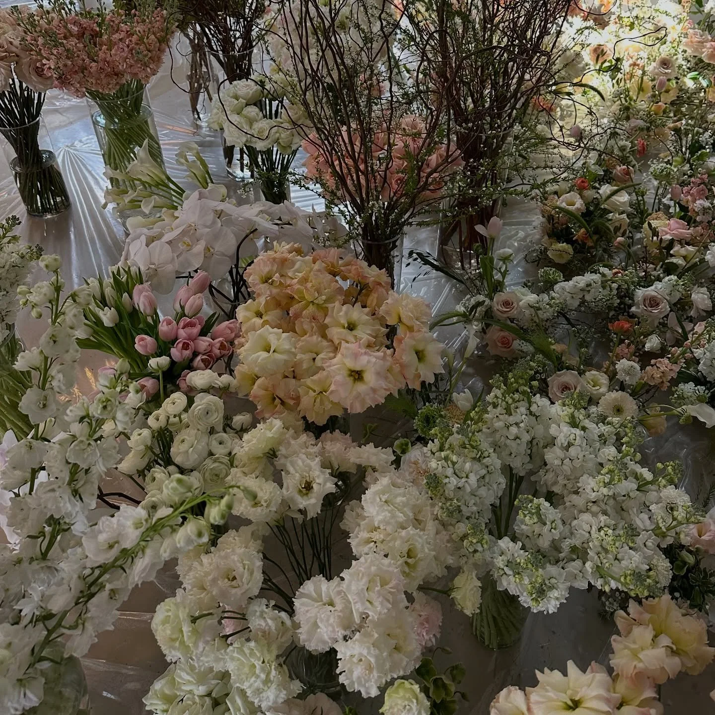 This is what the beginning looks like.
Unedited.
Unrushed.
A room full of possibilities waiting to become intention.