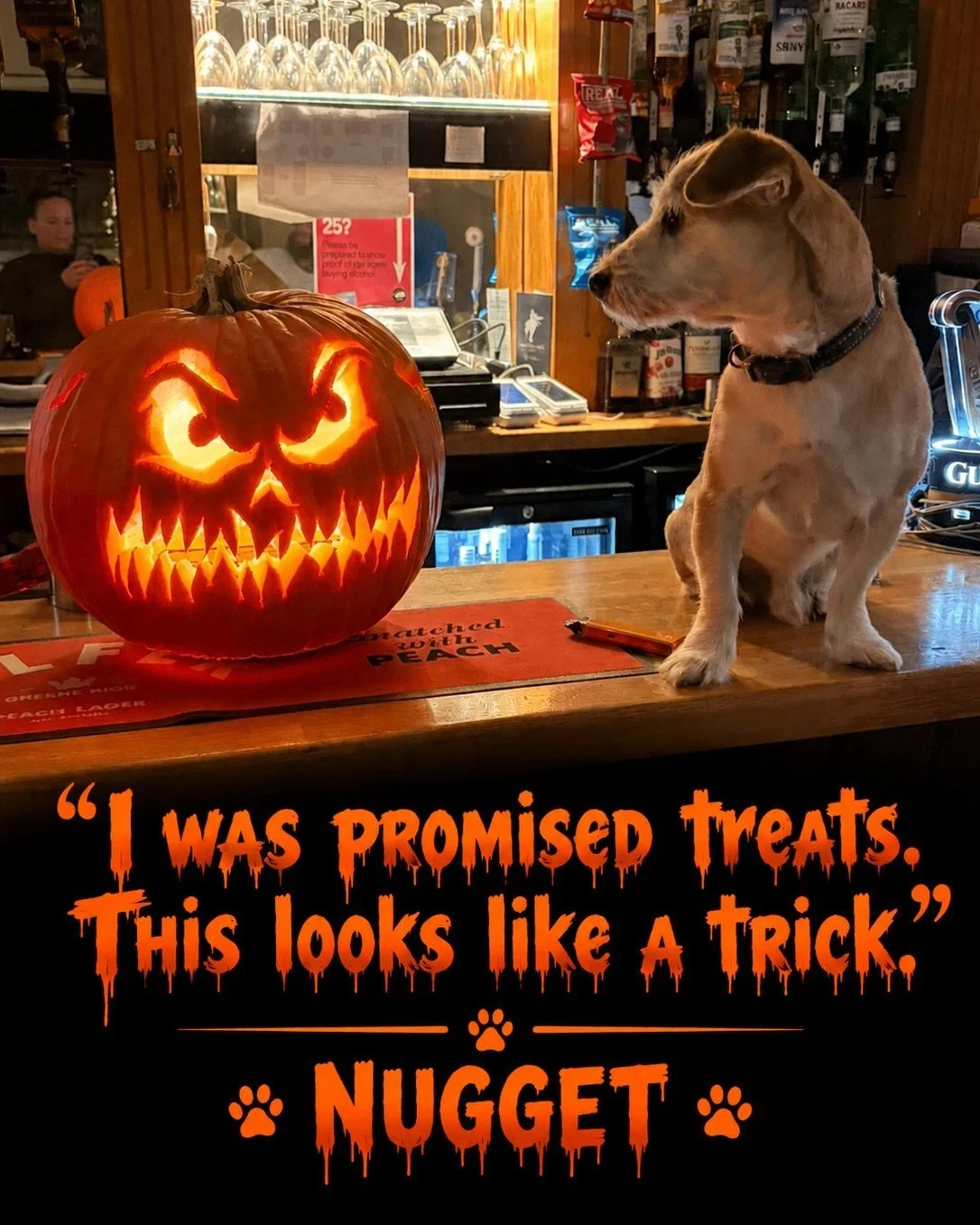 Happy Halloween weekend from all of us here at the White Horse!!