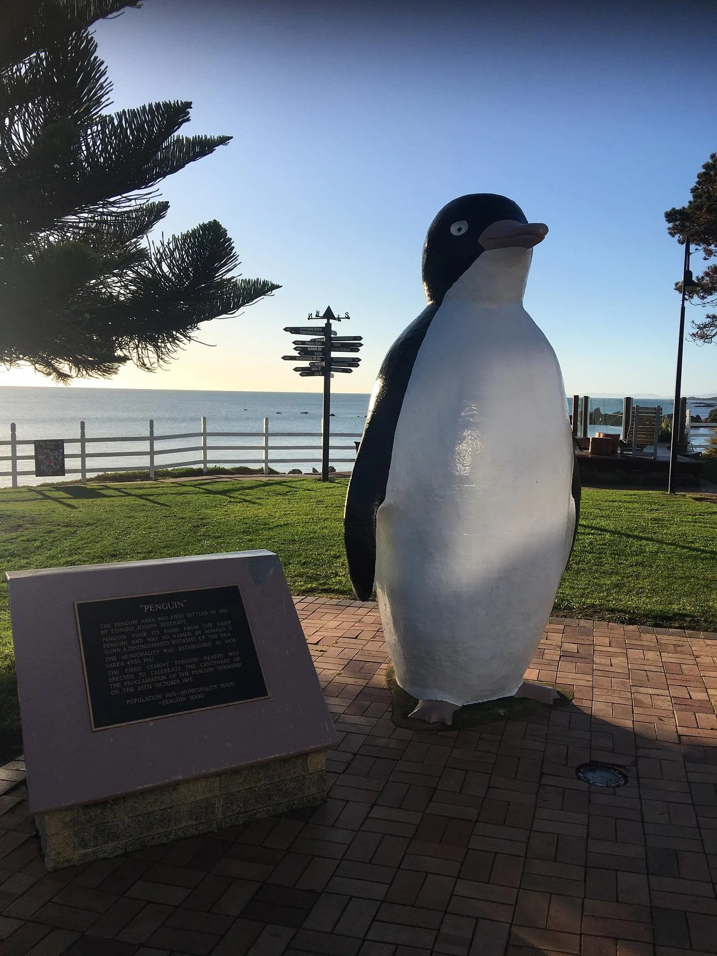 The famous sculpture at Penguin the town in Tasmania was built in the mid 70s from fibro cement