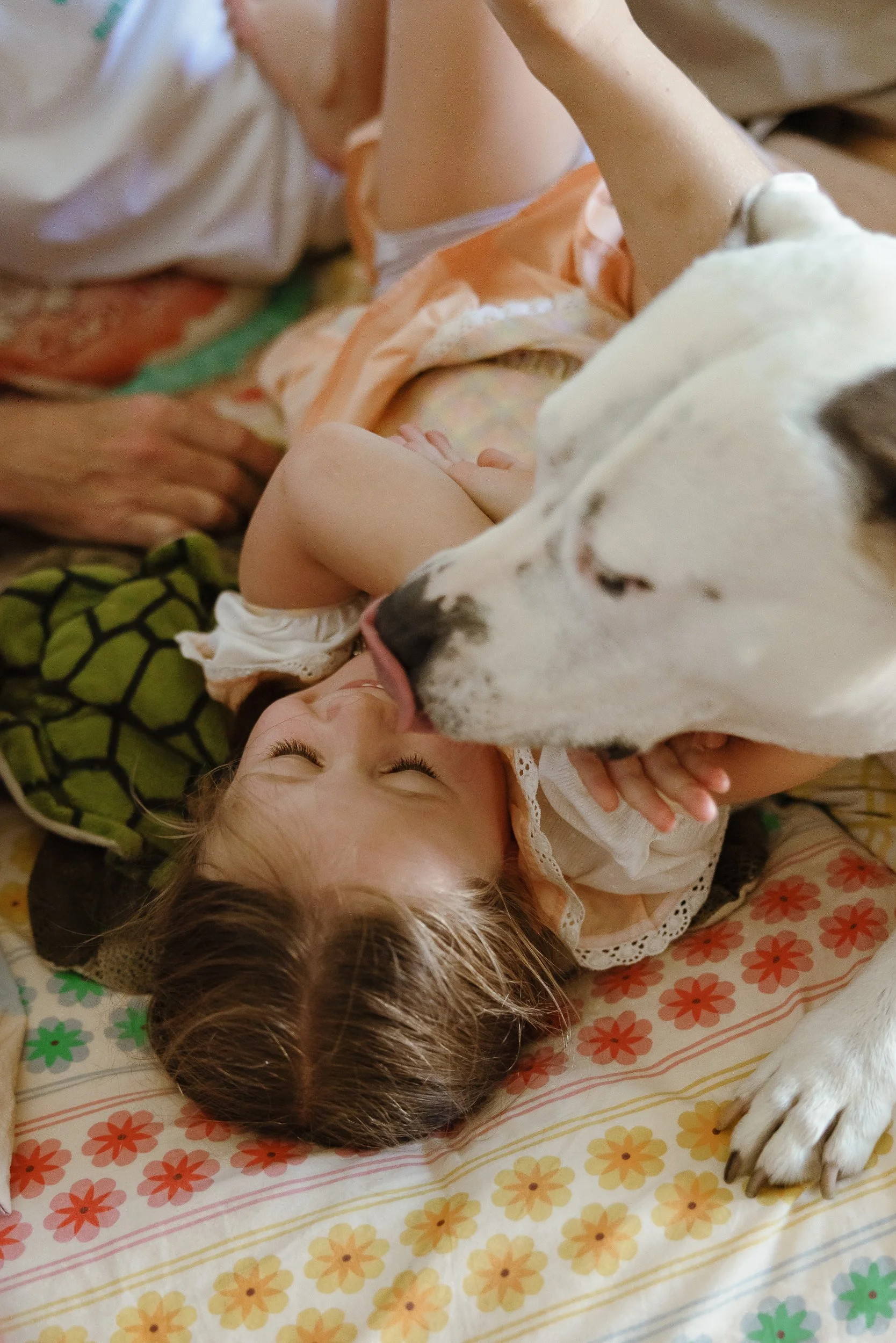 Newcastle family photographer documents in-home family moments for the Woollam family