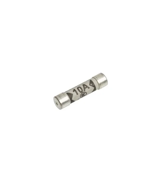 10 Amp Plug Fuse (10 Pack) - Order Code SQ930061