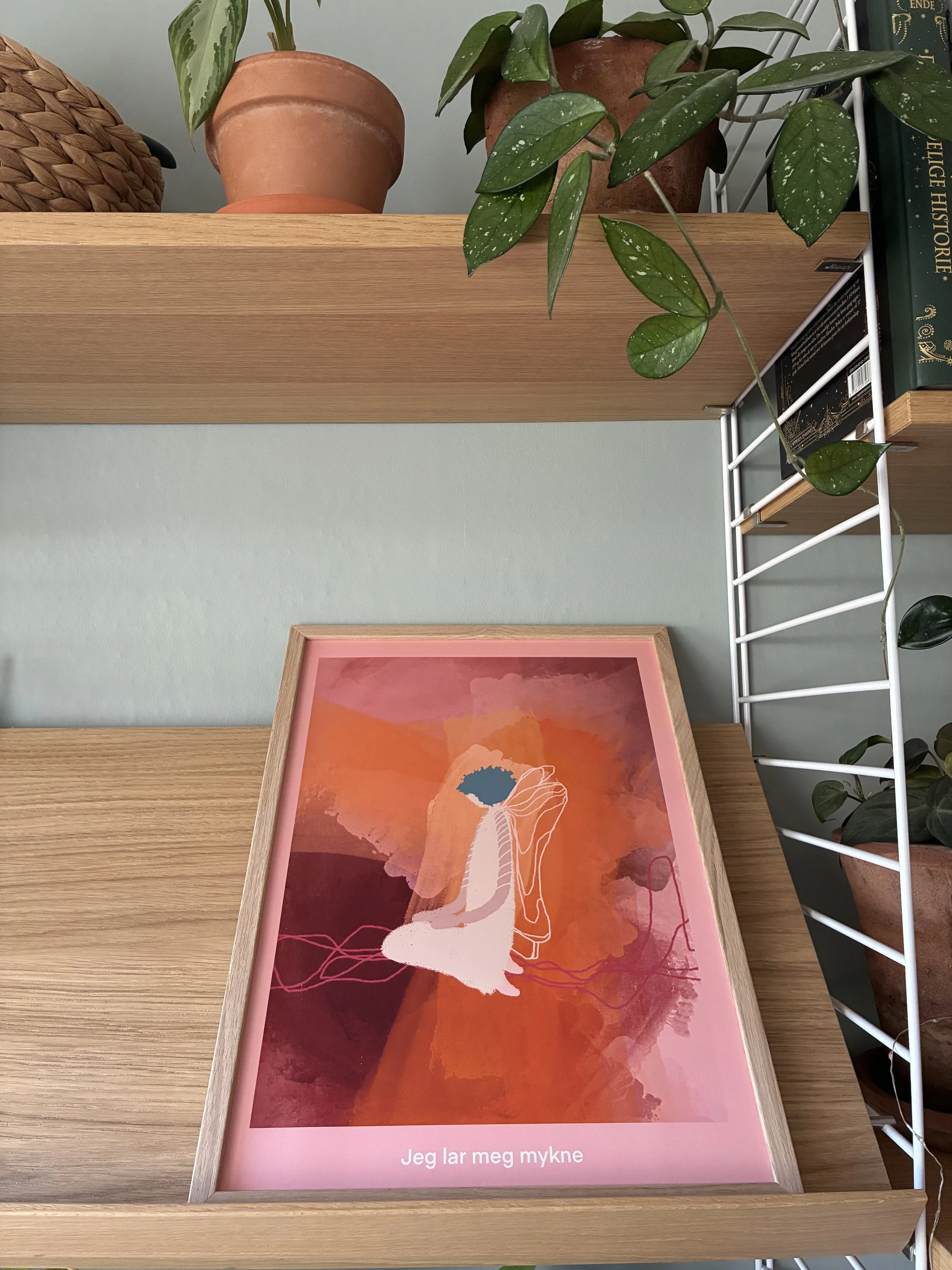 IMG_6671.jpeg