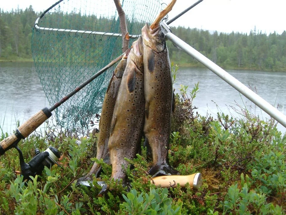 Fiskemuligheter i fjellvatna