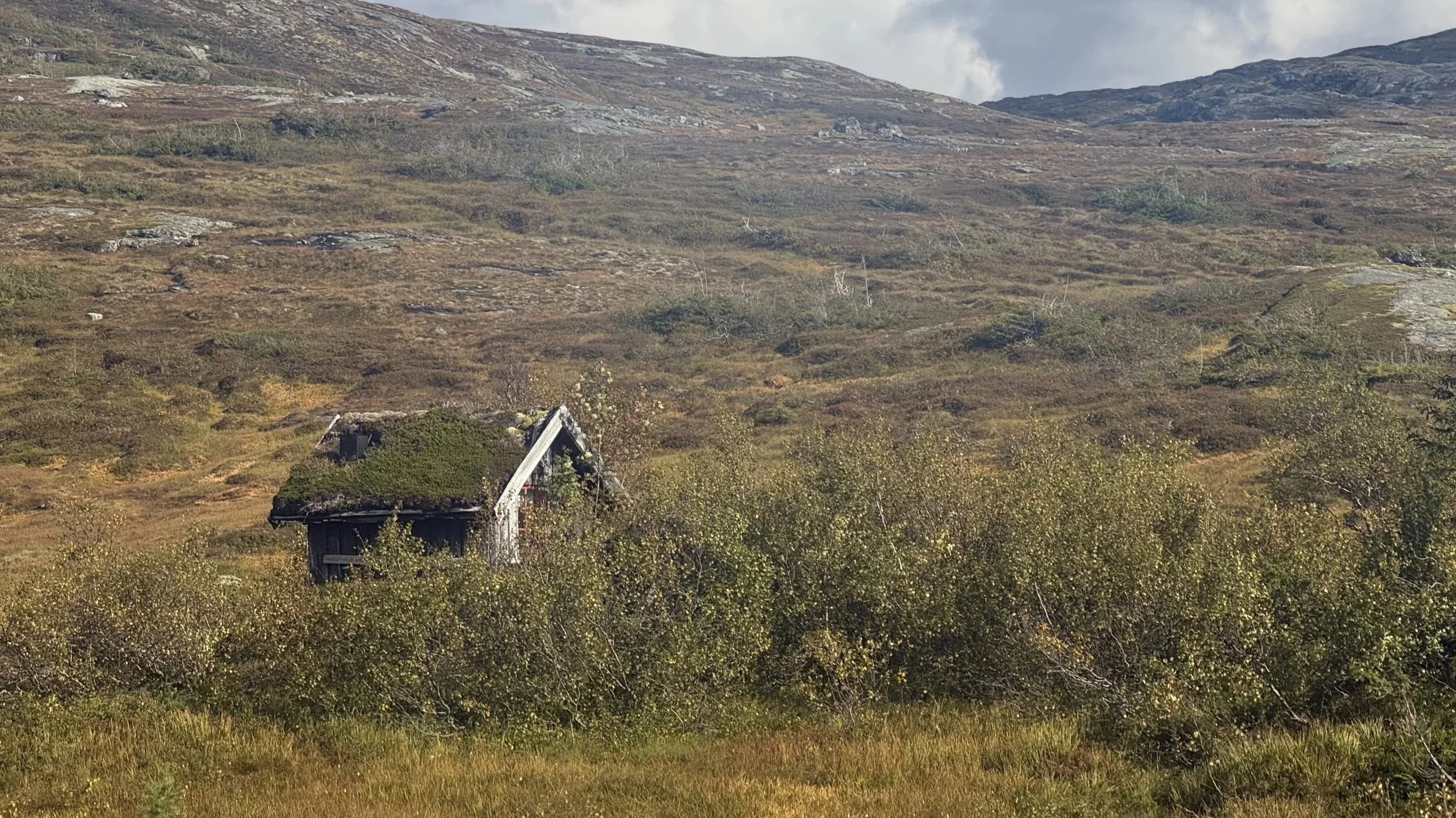 Fjellstyrene i Stjørdal og Meråker