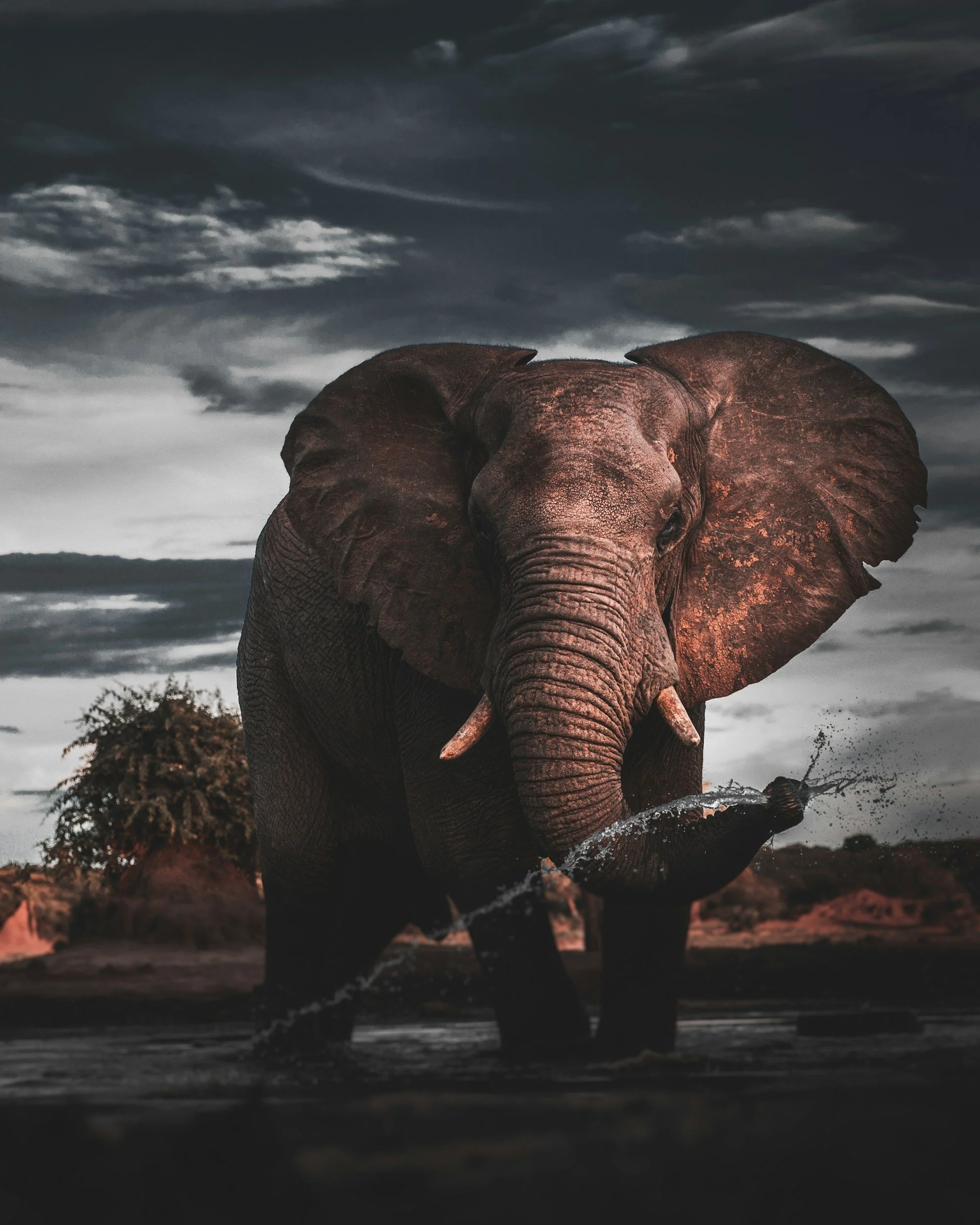 View all Tours And Safaris