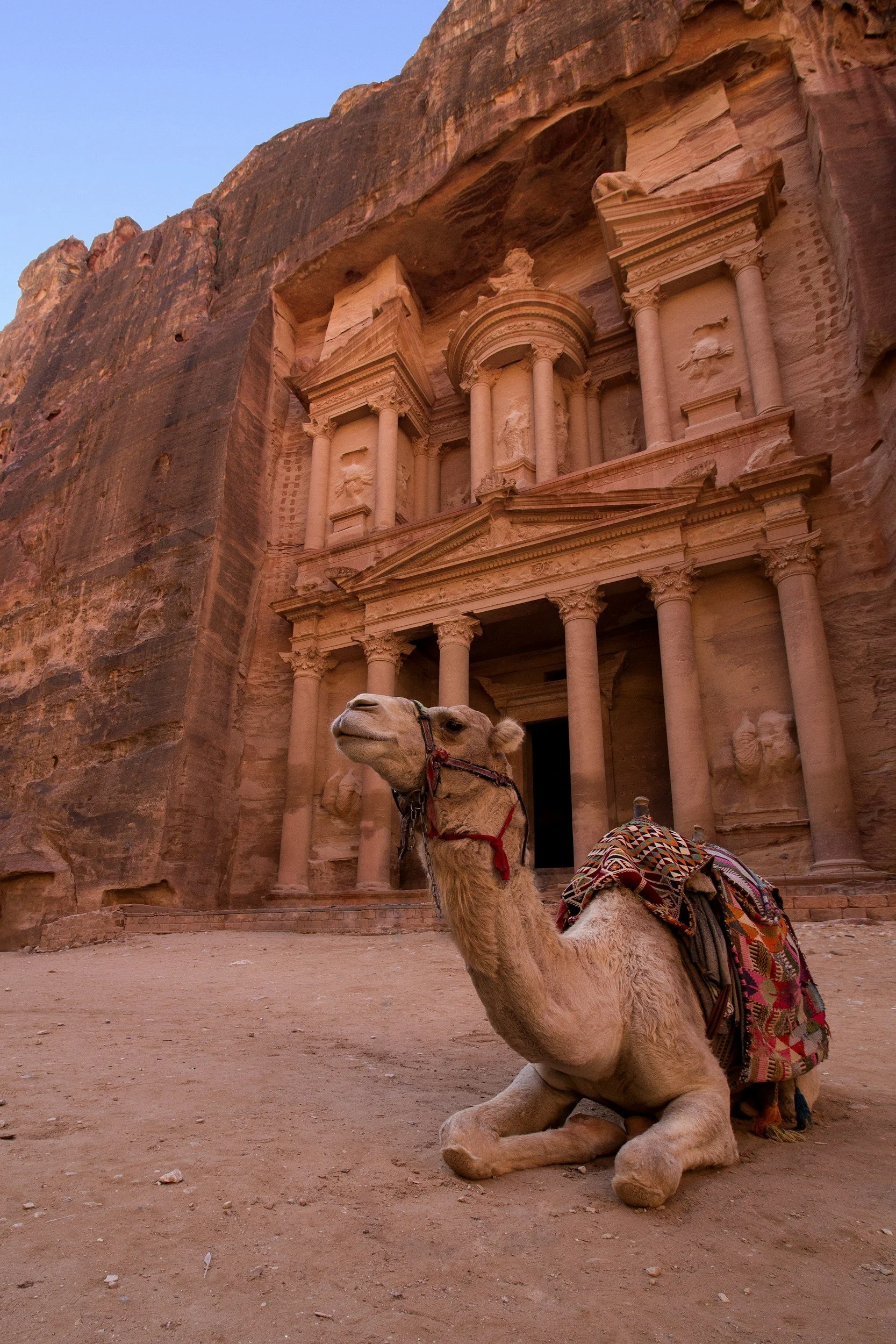 A camel sitting on desert ground with a decorated saddle, in front of the ancient rock-cut city of Petra in Jordan, highlighting its classical architecture and pinkish sandstone cliffs.