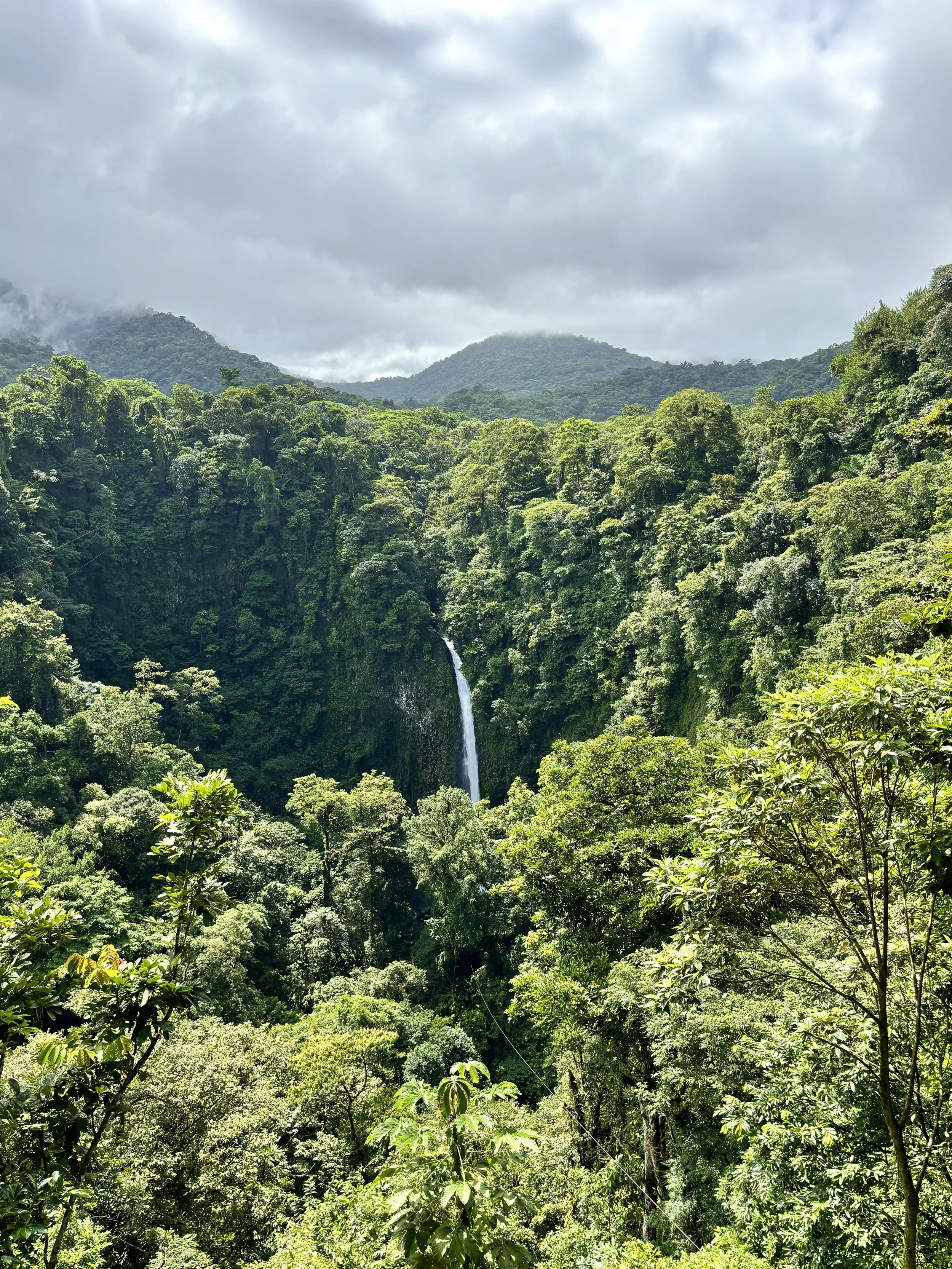 Scenic view of a lush green forest with a tall waterfall cascading down the hillside, surrounded by dense vegetation and mountains in the background under a cloudy sky.