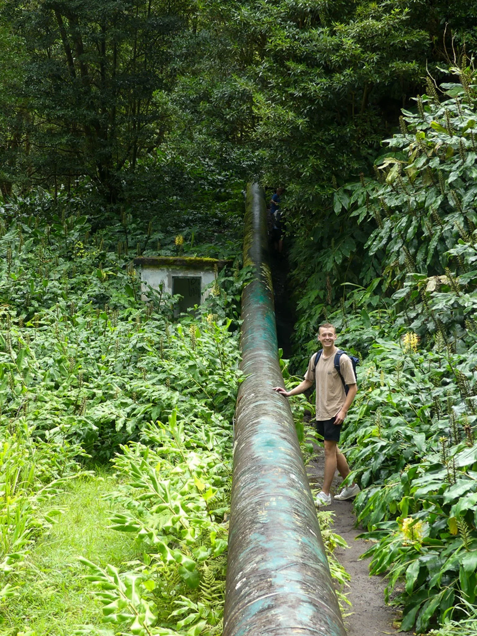 Salto do Cabrito waterfall canyon hike through forest on São Miguel — for hiking lovers in the Azores.