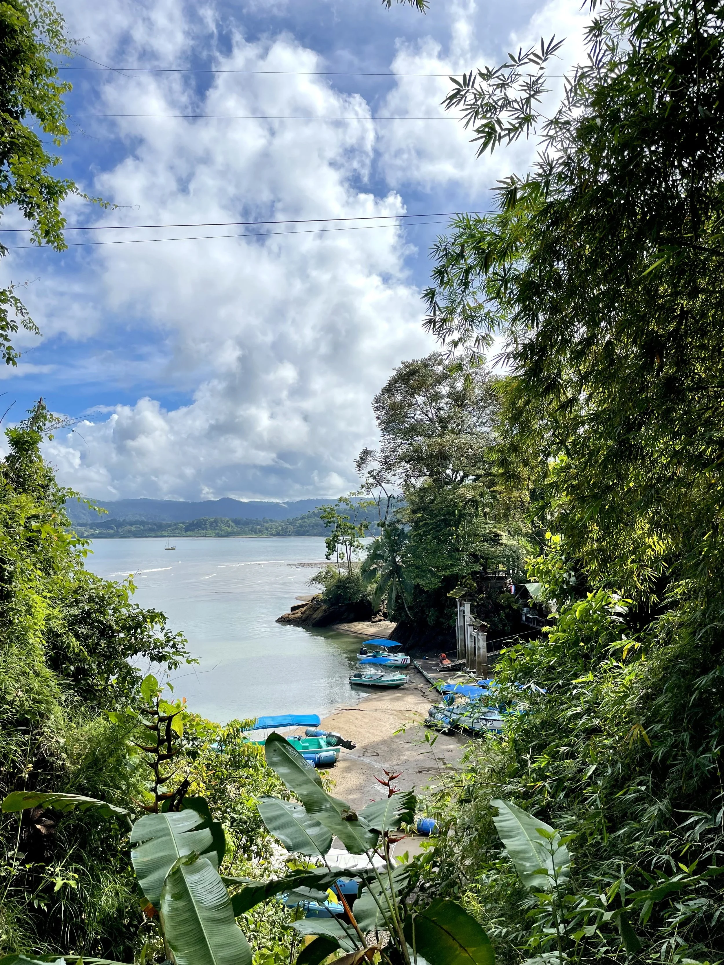 Tropical coastline with lush greenery in Drake Bay Costa Rica. Your favorite Costa Rica travel guide. Tips for traveling in Costa Rica. Where to go in Costa Rica. Costa Rica holiday. What to do and where to stay in Drake Bay. Osa Peninsula, Corcovado