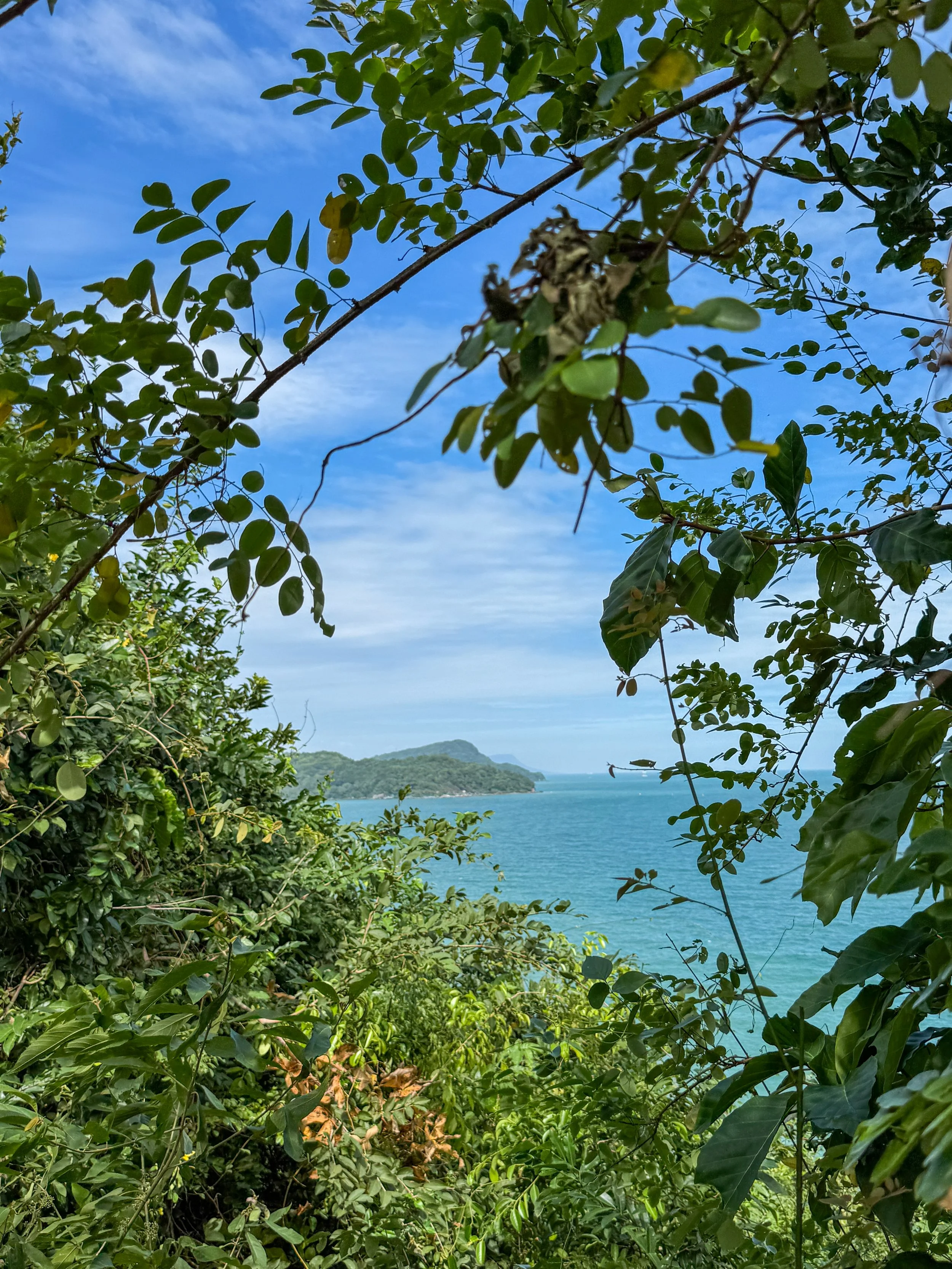 View of ocean through lush green foliage, with distant hills under a blue sky dotted with clouds.