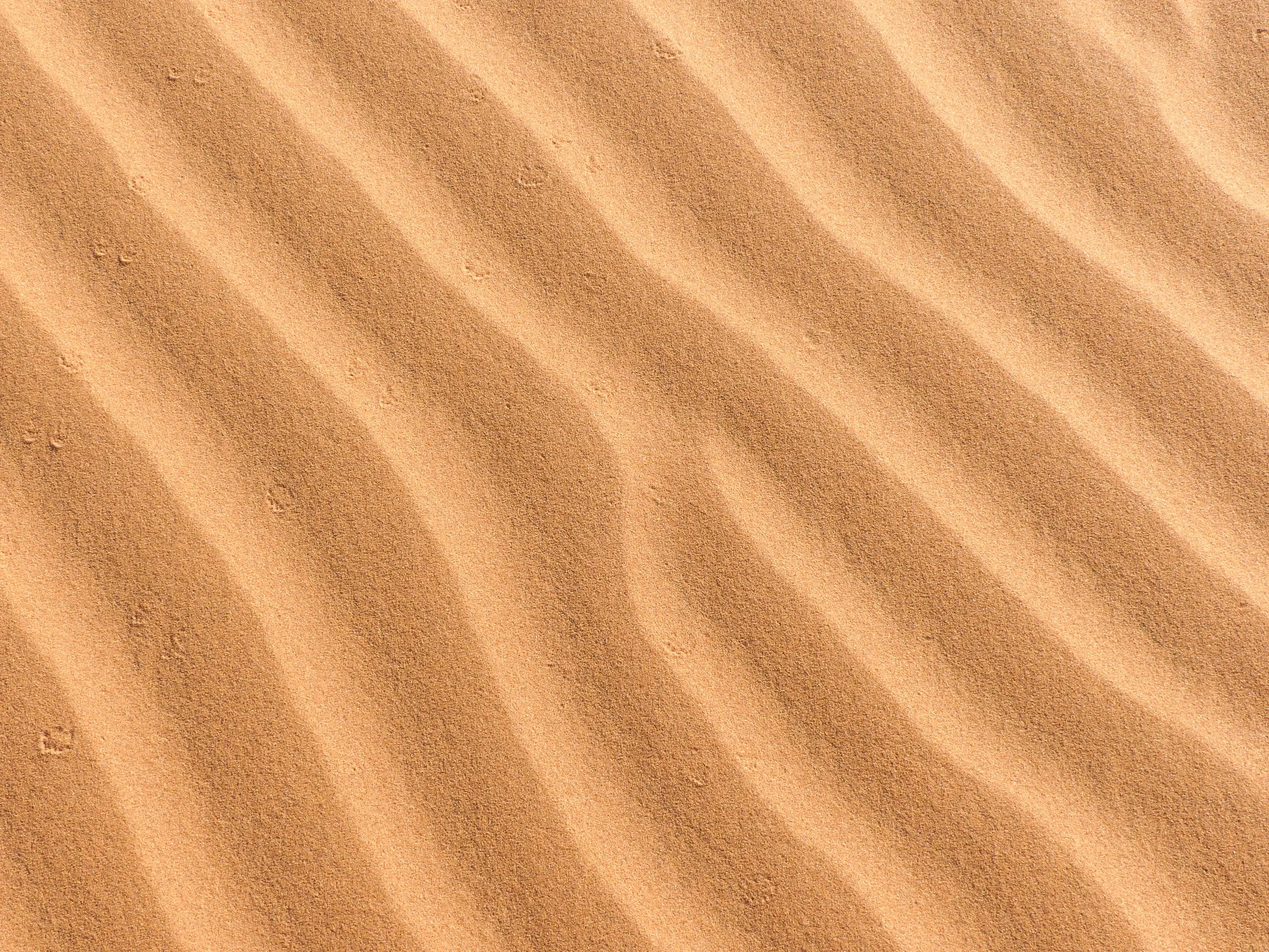 Close-up of desert sand dunes with rippled patterns in Sossusvlei, Namibia