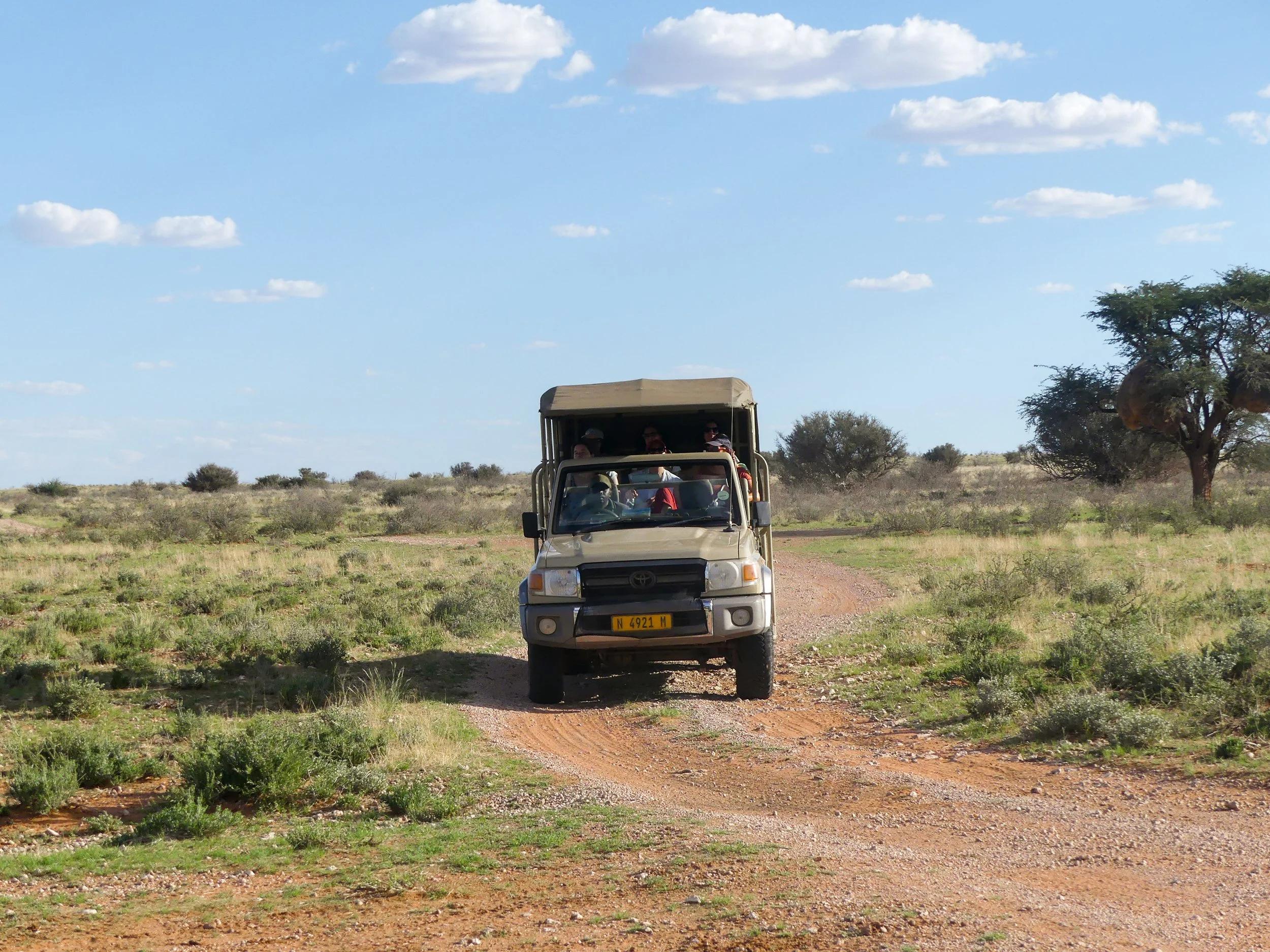 An off-road safari vehicle in the Kalahari driving on a dirt path in a grassland with small bushes and trees, under a partly cloudy sky. Driving through Namibia on gravel road during roadtrip