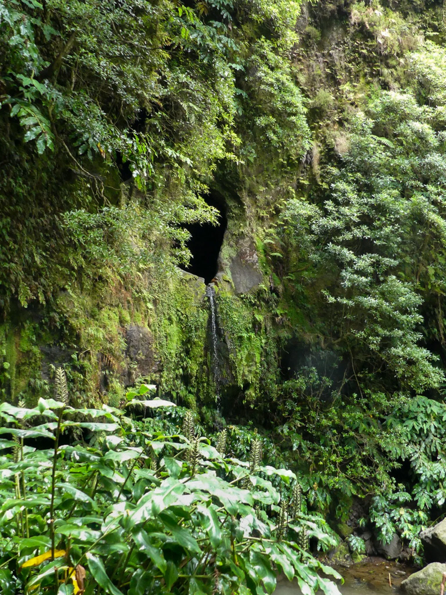 Trail to Janela do Inferno waterfall window cave in São Miguel — scenic loop hike and hidden waters.