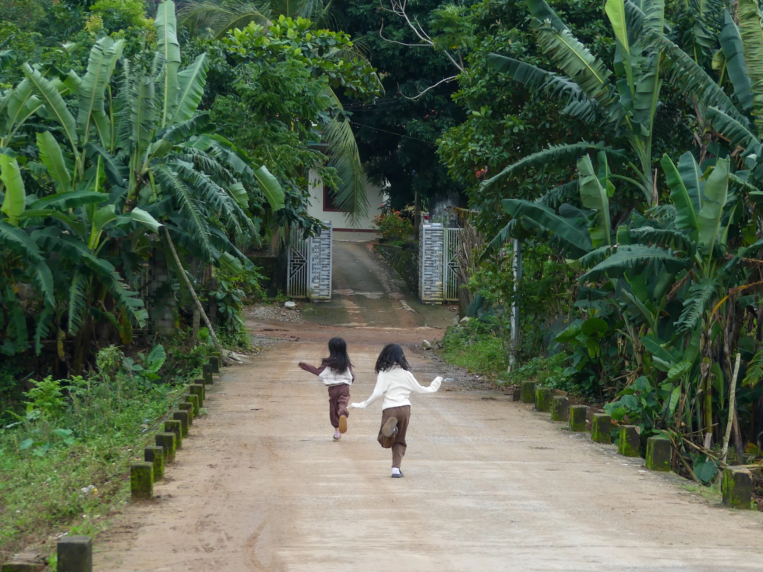 Two children running on a dirt path surrounded by lush green banana plants and trees, leading towards a gate.
