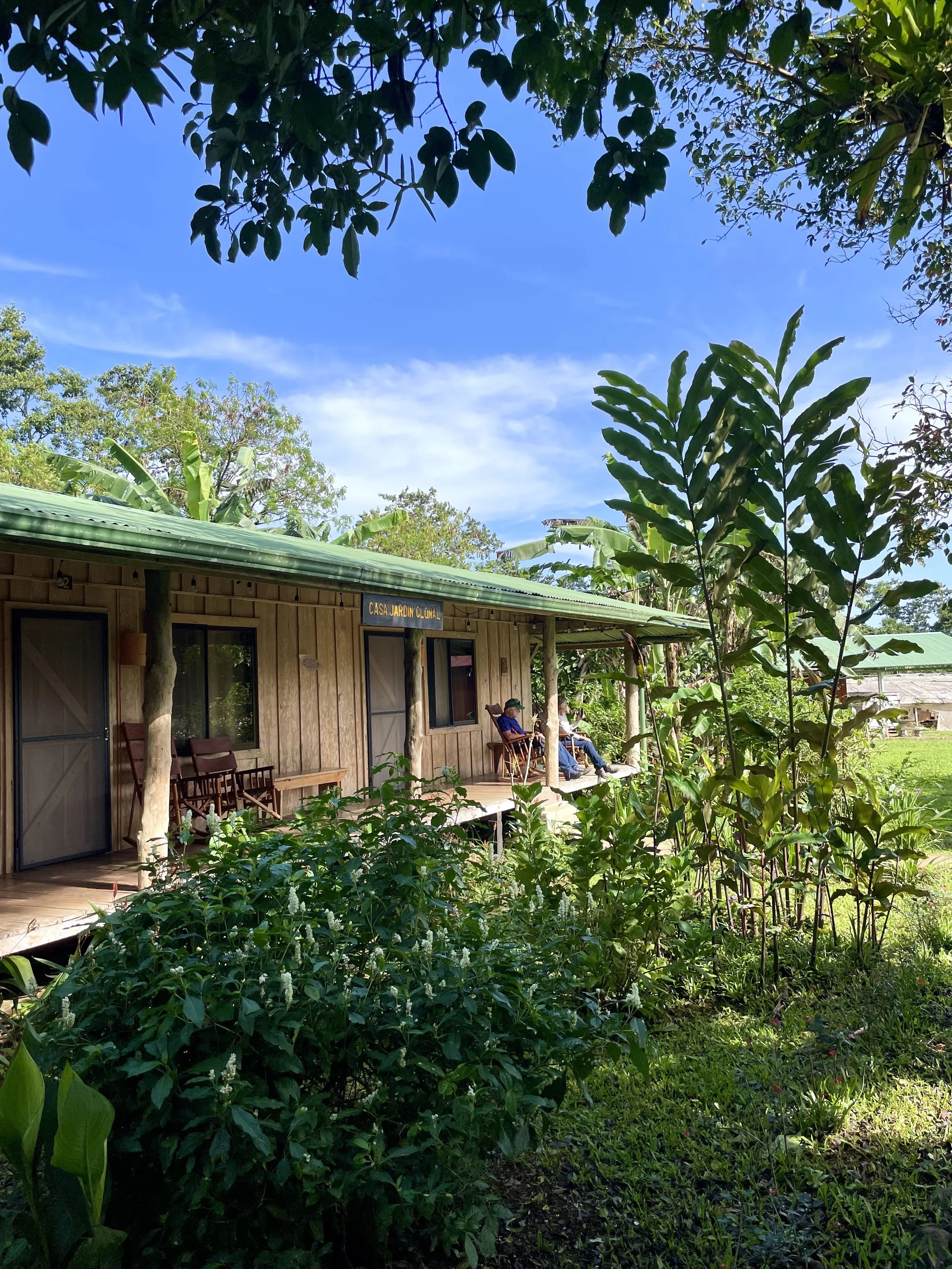 Outdoor scene with a wooden cabin surrounded by lush greenery and tropical plants. Two people are sitting on chairs on the cabin's porch under a green roof. The sky is clear and blue.