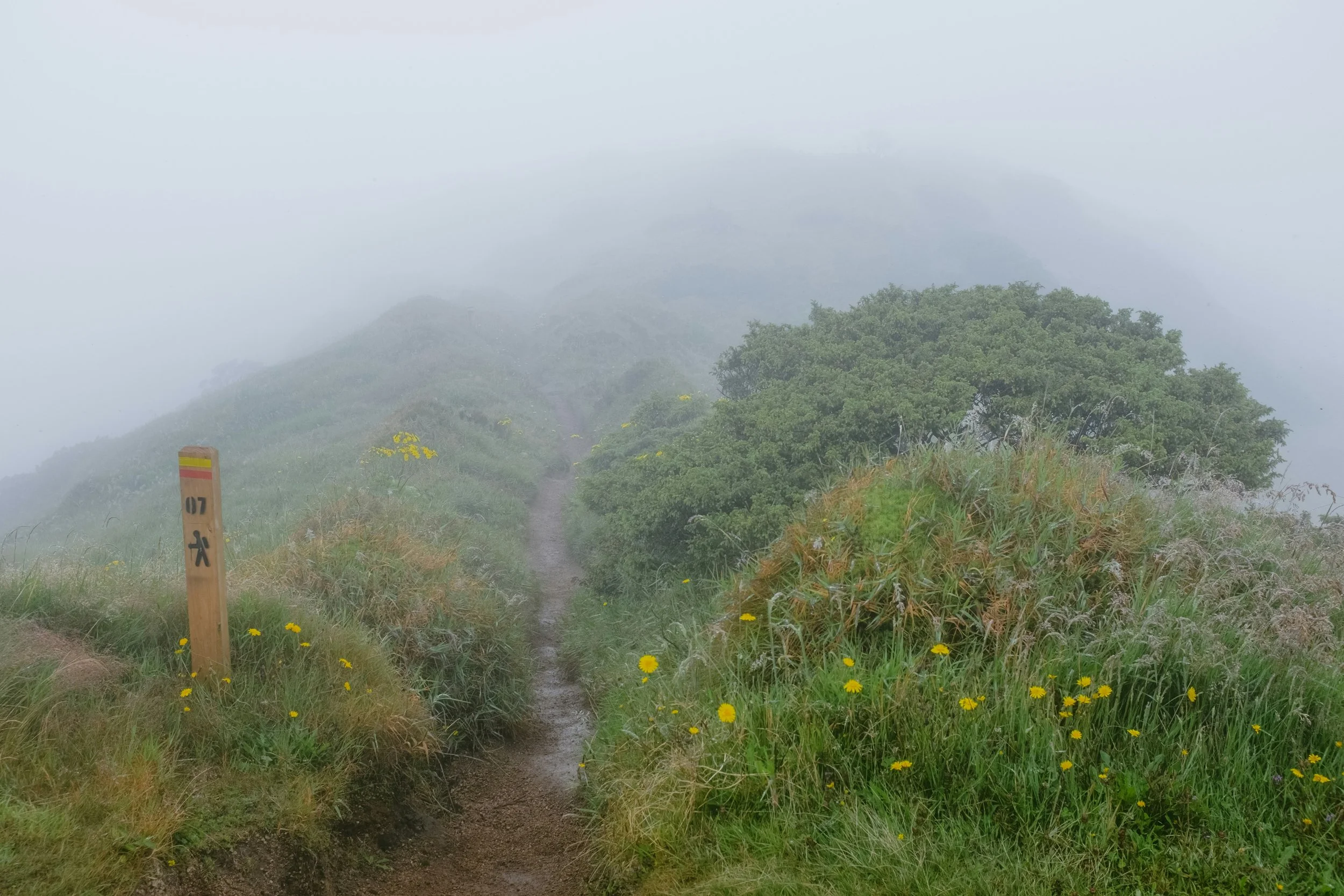 Highest peak hike to Pico da Vara in São Miguel — birdlife, rugged trail, and sweeping (foggy) views.
