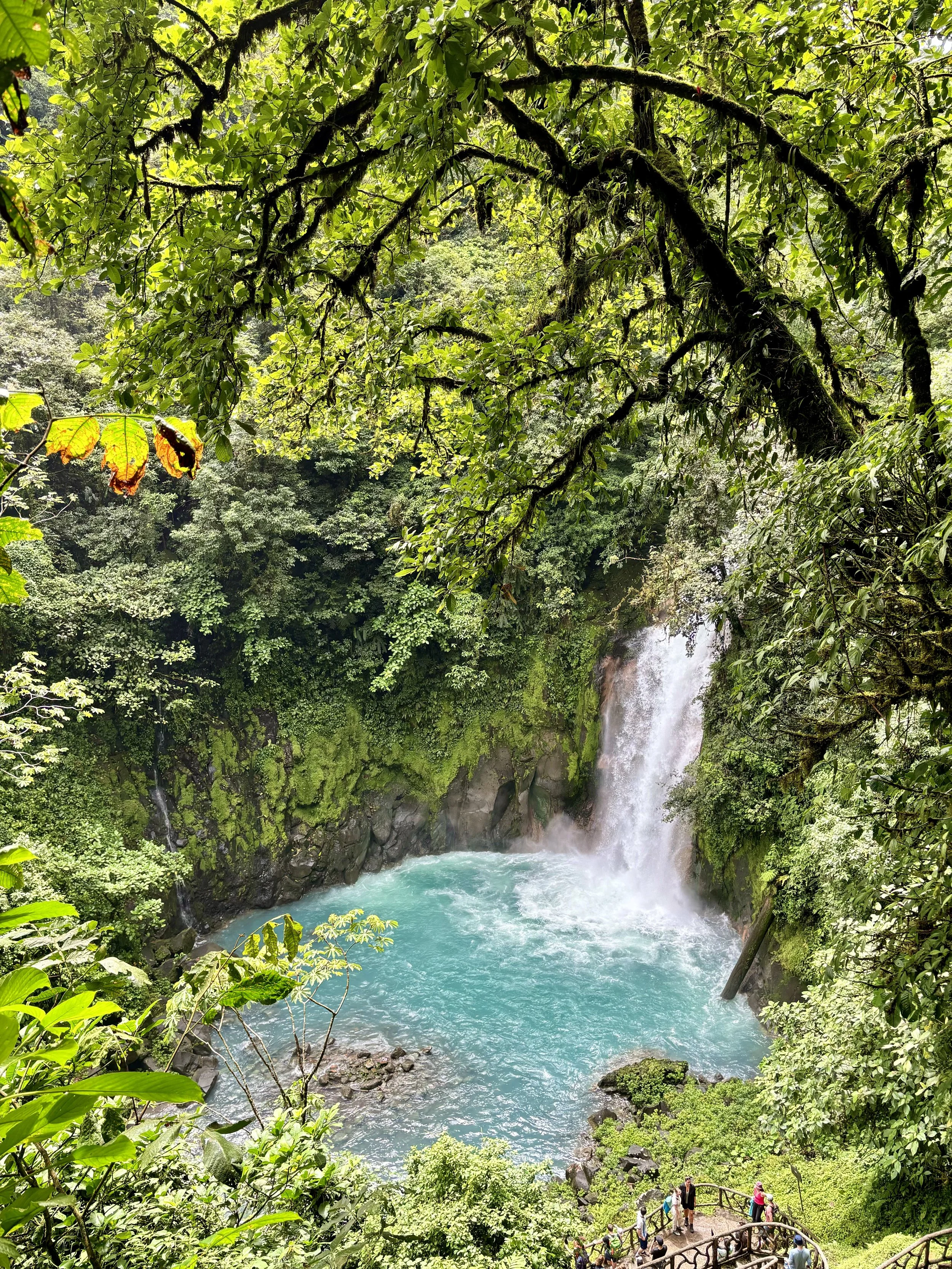 A vibrant waterfall cascading into a turquoise pool surrounded by lush green tropical foliage. Costa Rica's most beautiful place. Where to go in Costa Rica. What to do in Costa Rica. An elaborate in depth travelguide of Costa Rica