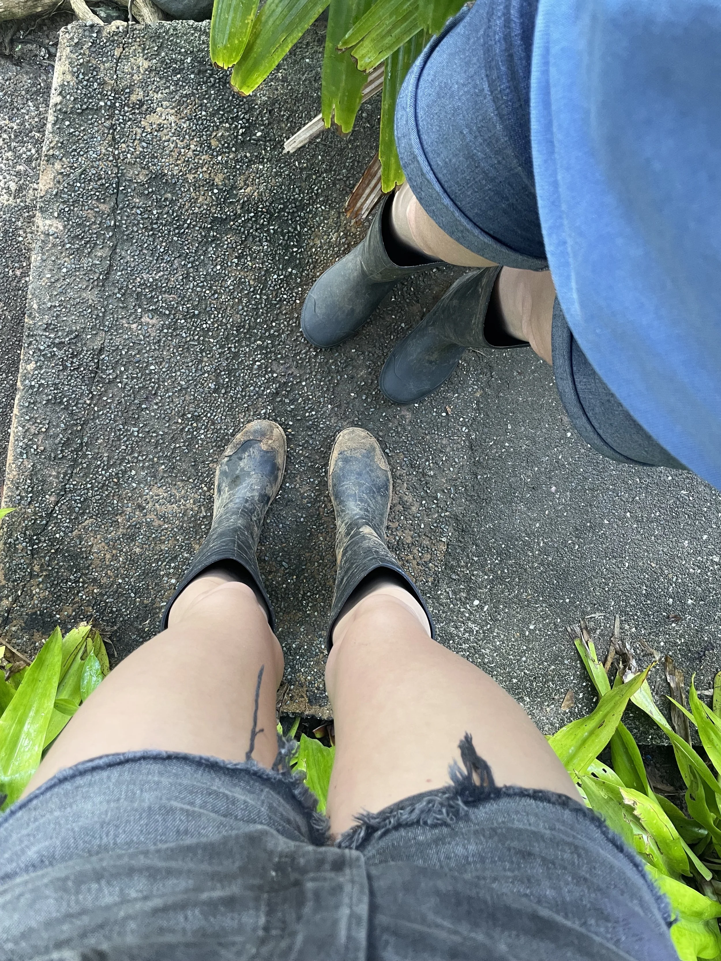 Jungle boots in Costa Rica. Costa Rica travel guide. Travel tips for Costa Rica. Where to go in Costa Rica. What to do in Costa Rica. Costa Rica holiday. Costa Rica guide. Costa Rica travel route. Costa Rica Itinerary. What to do in Drake bay. Tips