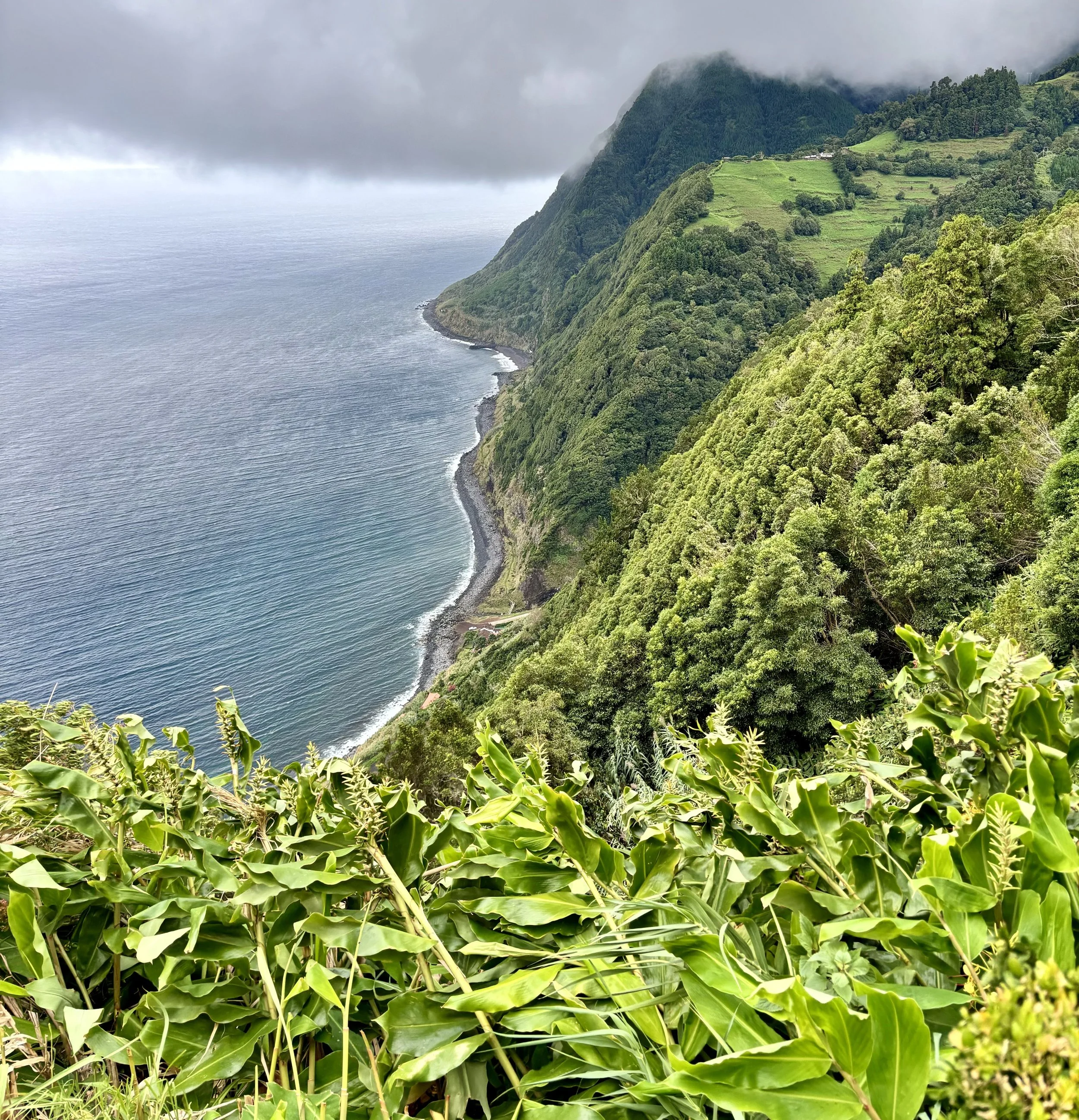 Scenic coastal landscape with lush green hills, cliffs, and the ocean under a cloudy sky.