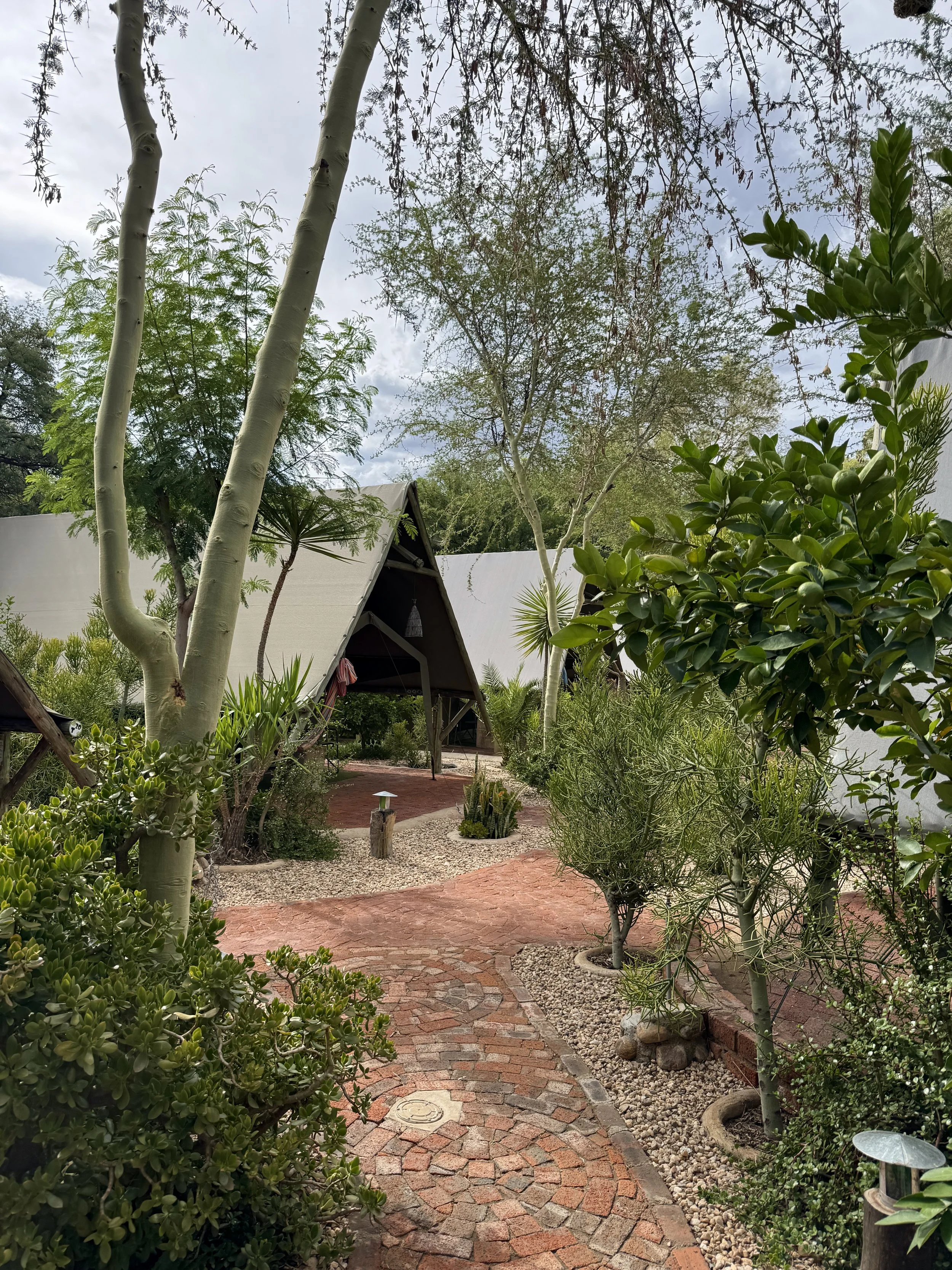 Urban Camp Windhoek Namibia with safari-style tents and relaxed outdoor atmosphere