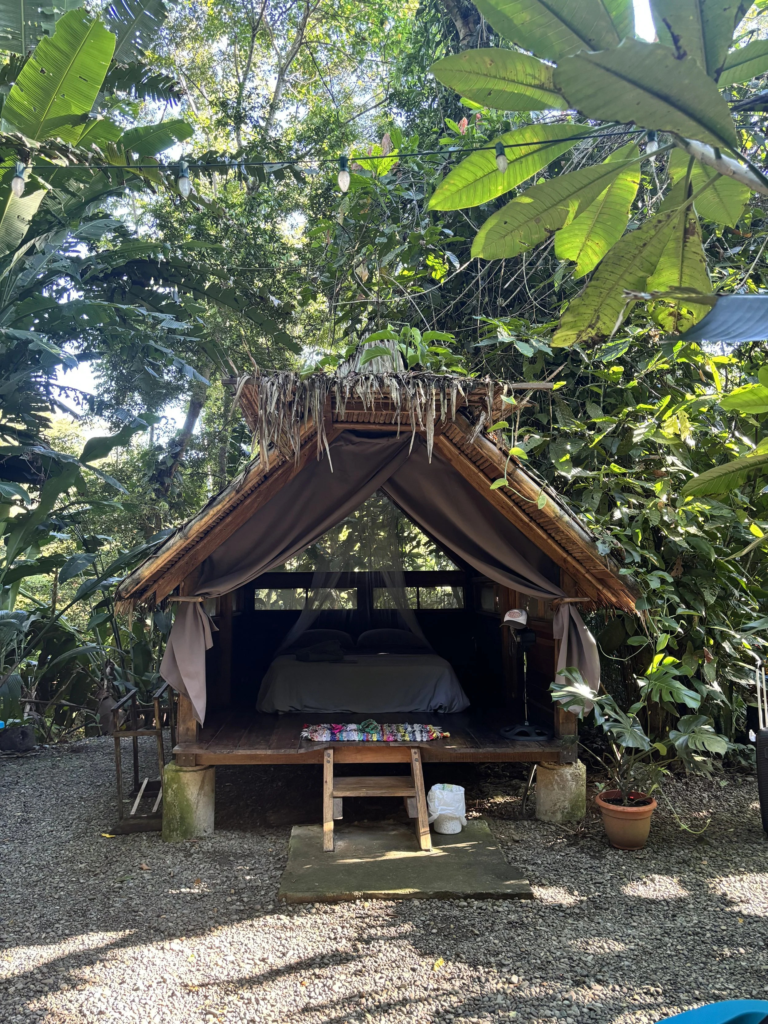 Rustic cabin with straw roof in a tropical garden