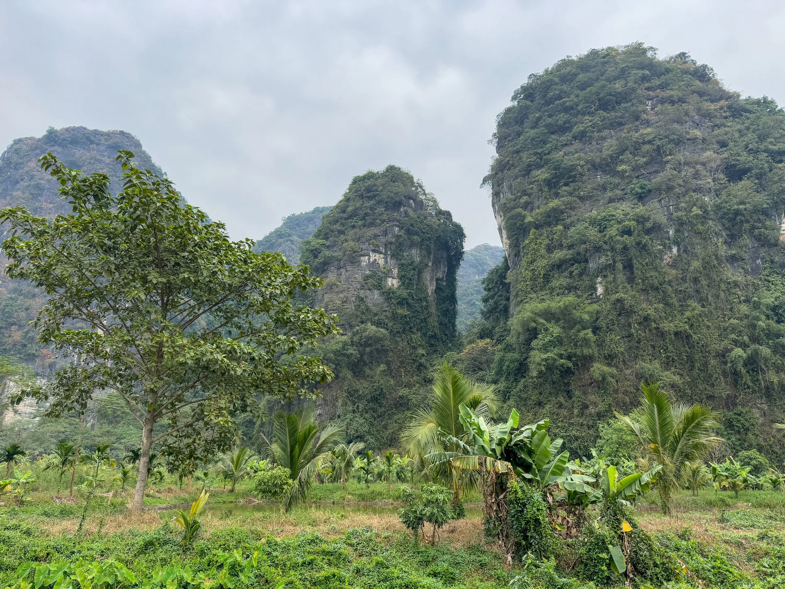 Foggy limestone hills with lush greenery and a river winding through a valley, featuring a boat and small structures in the distance.