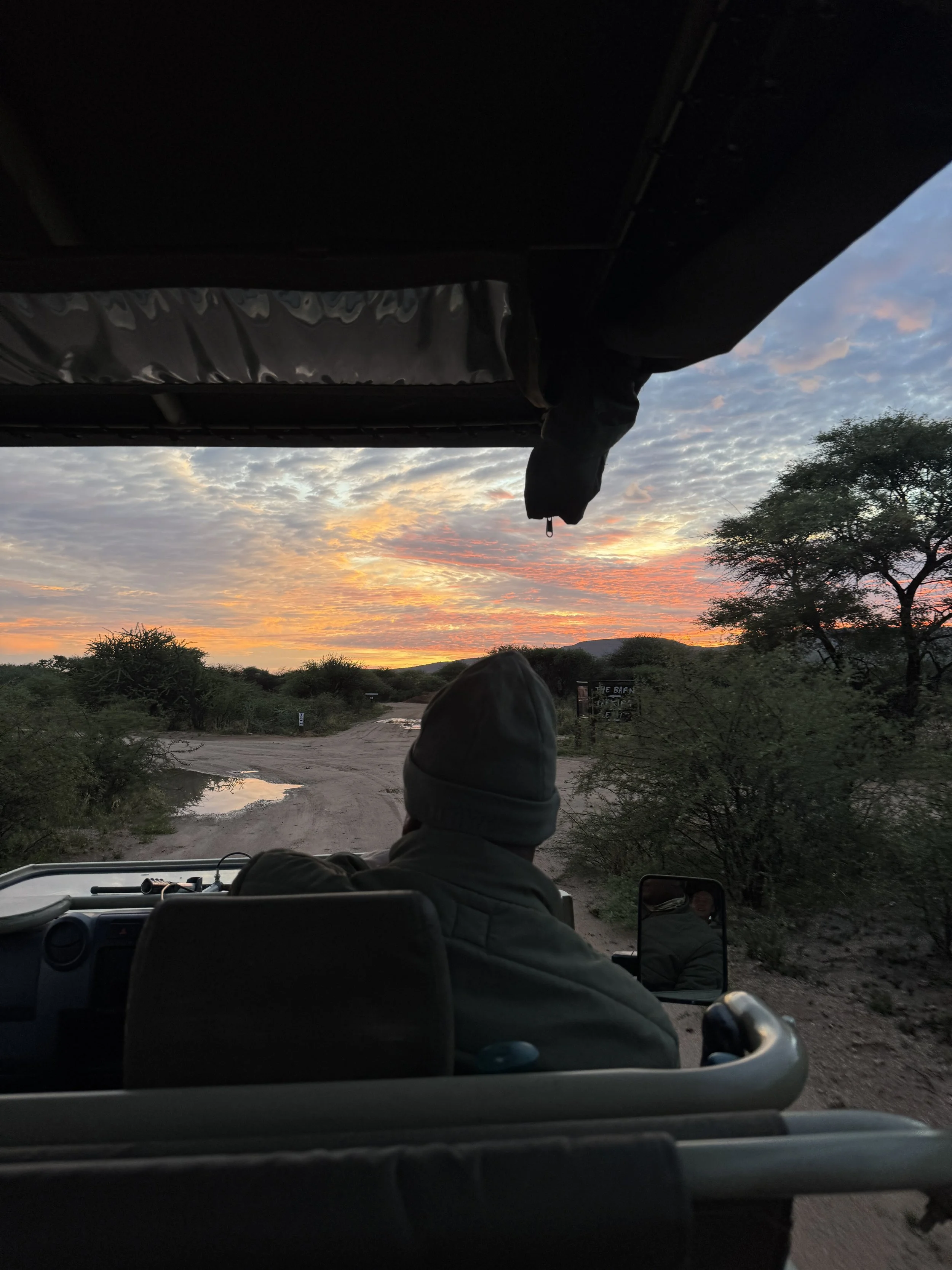 Safari guide tracking leopard footprints at Okonjima Nature Reserve Namibia