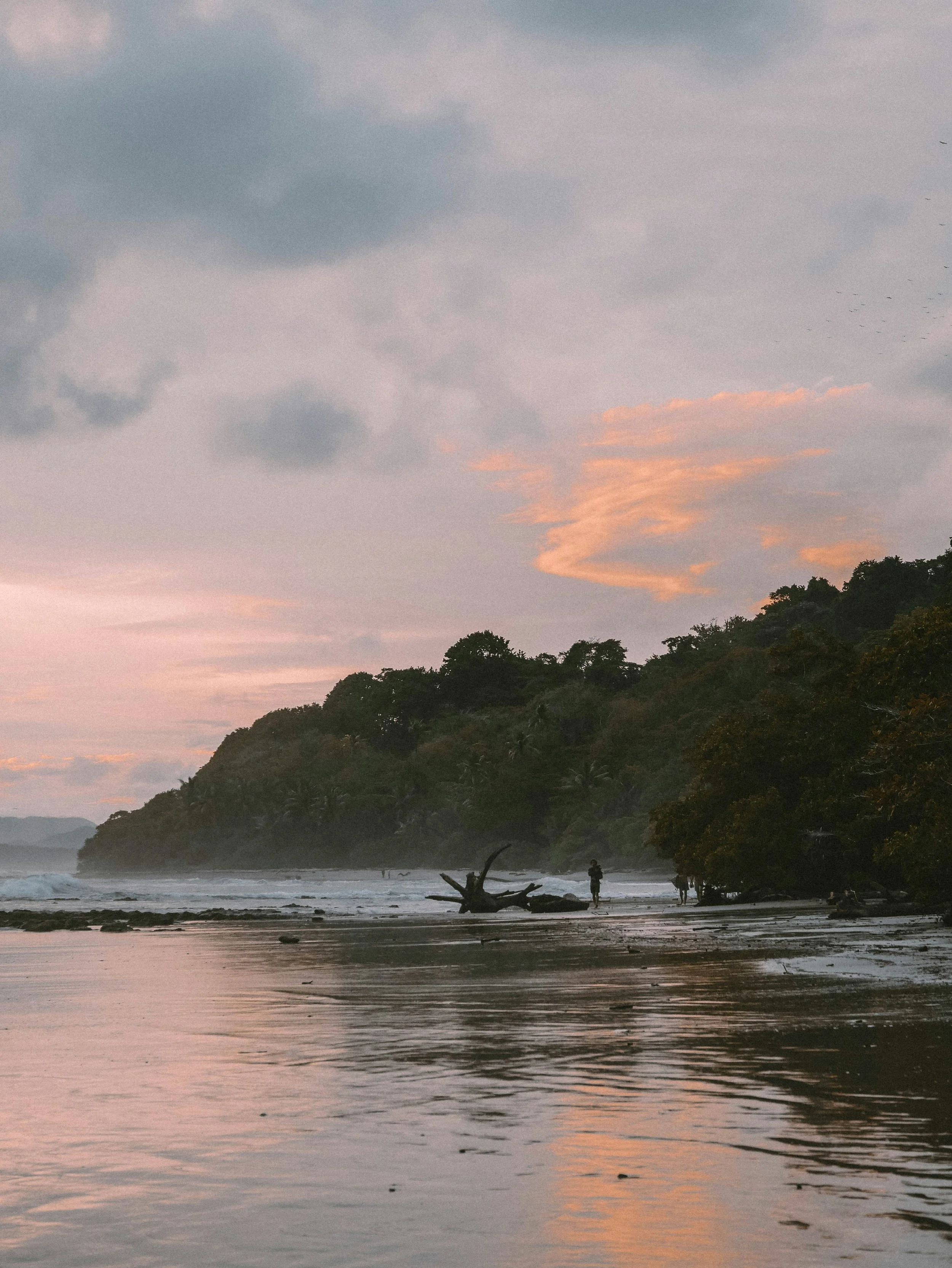 Misty beach scene at sunset with driftwood, silhouetted figure, and reflecting water.