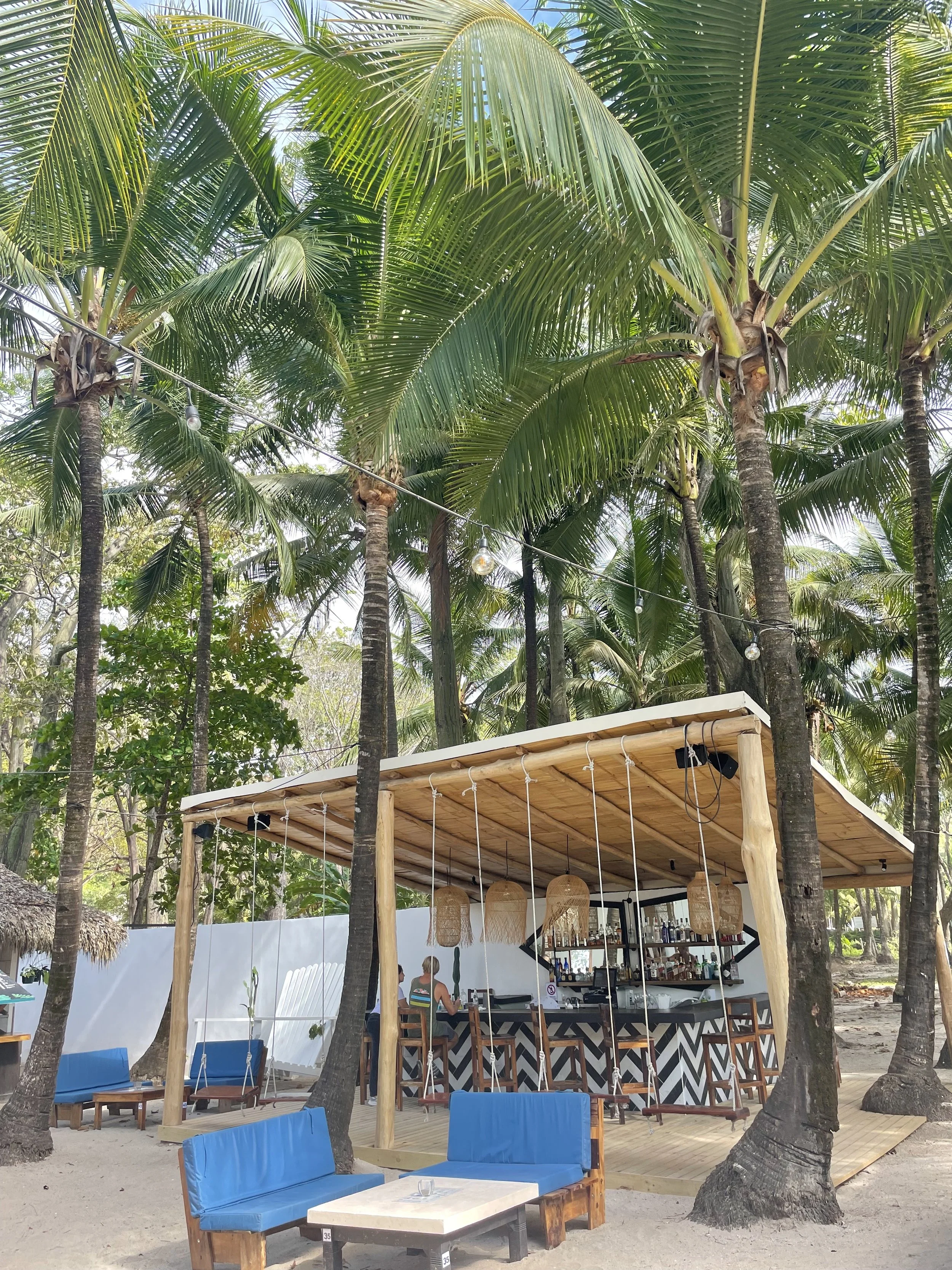Beach bar with palm trees, blue seating, and wooden swing chairs