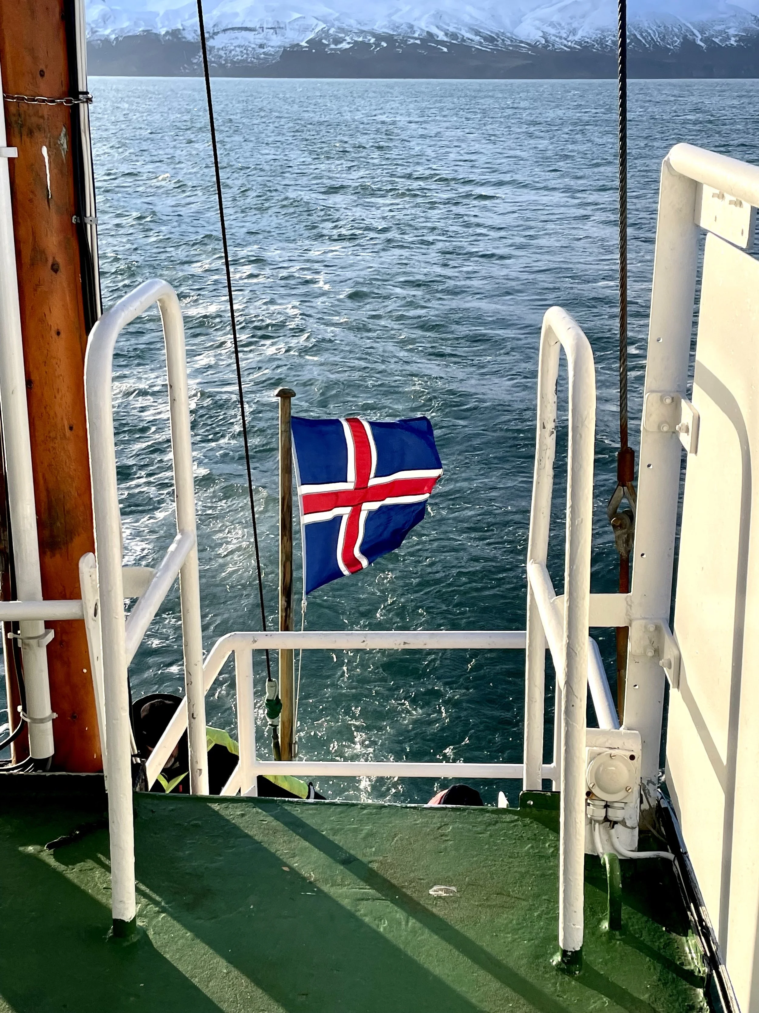 Icelandic flag on a boat at sea with snowy mountains in the background.