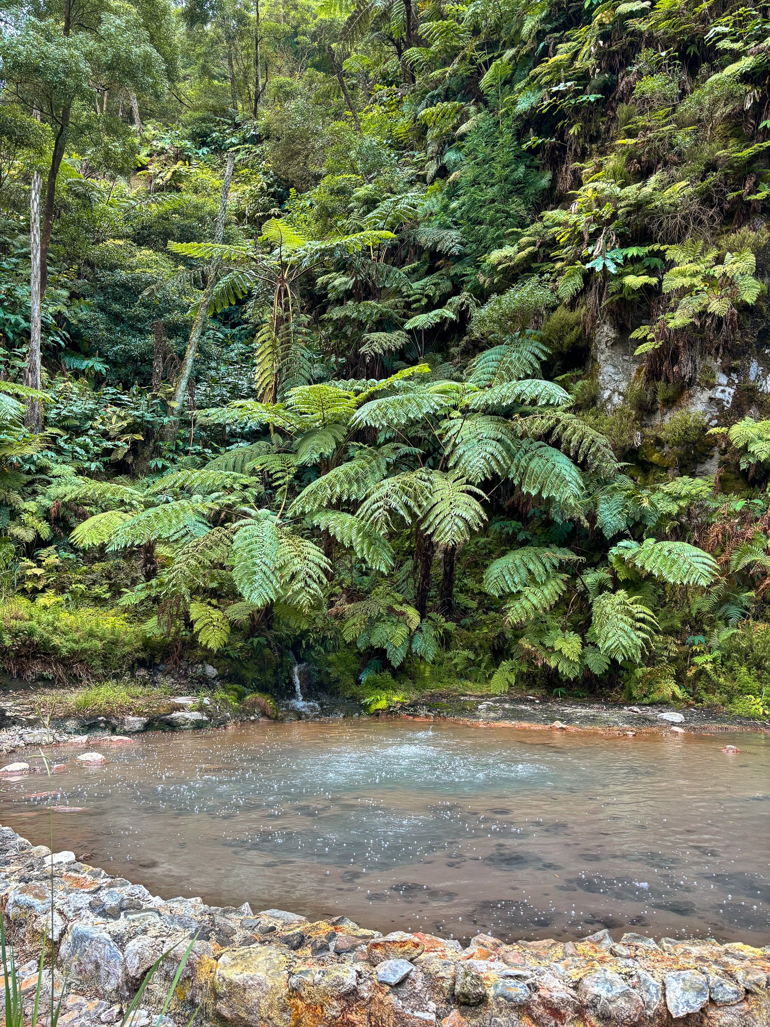 Tropical forest warm pools at Caldeira Velha, São Miguel — relaxing hot springs in nature.