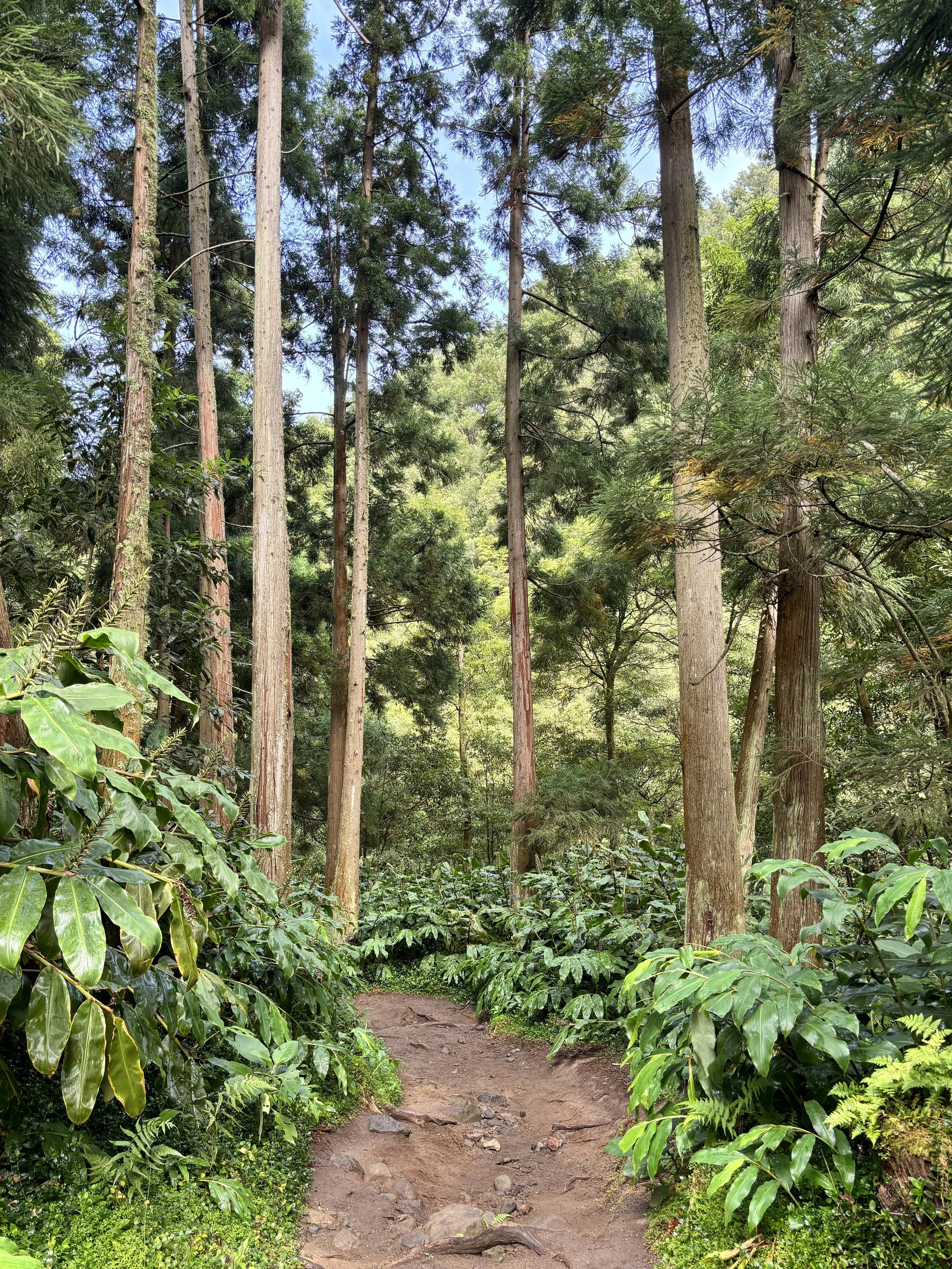 Hiking trail through lush green mountains and crater lakes on São Miguel, Azores — discover the best hikes and nature walks in this São Miguel travel guide.