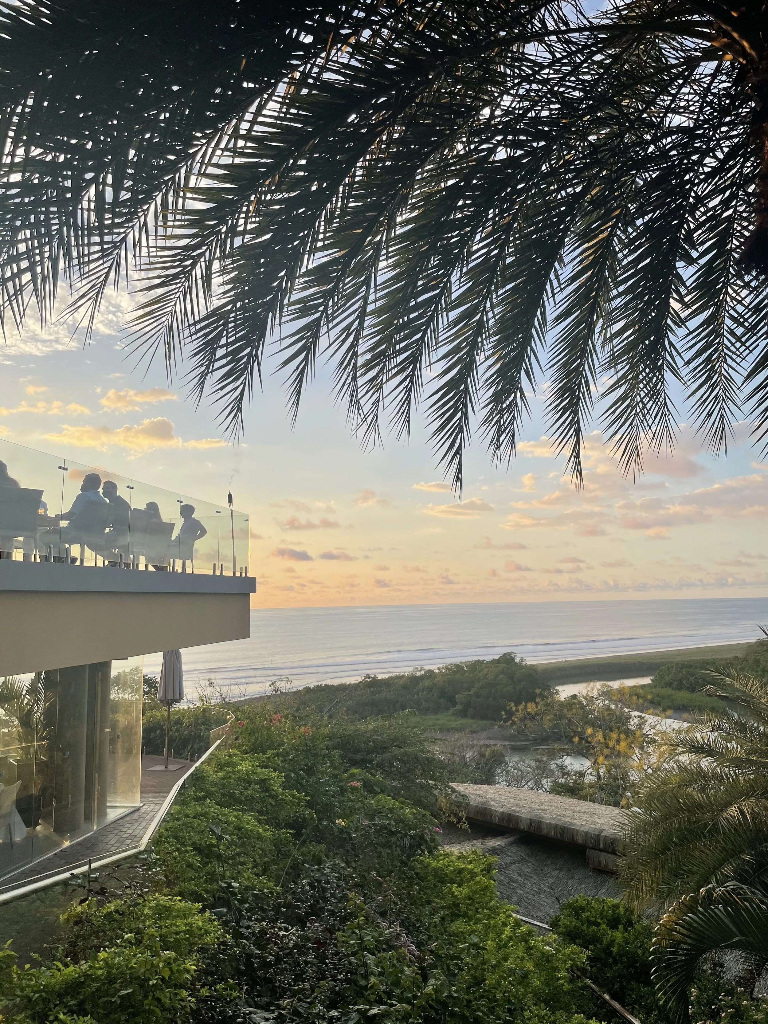 Sunset ocean view from a terrace with palm tree leaves framing the scene. People are seated on a patio overlooking the sea. Lush greenery and a thatched roof are visible in the foreground.