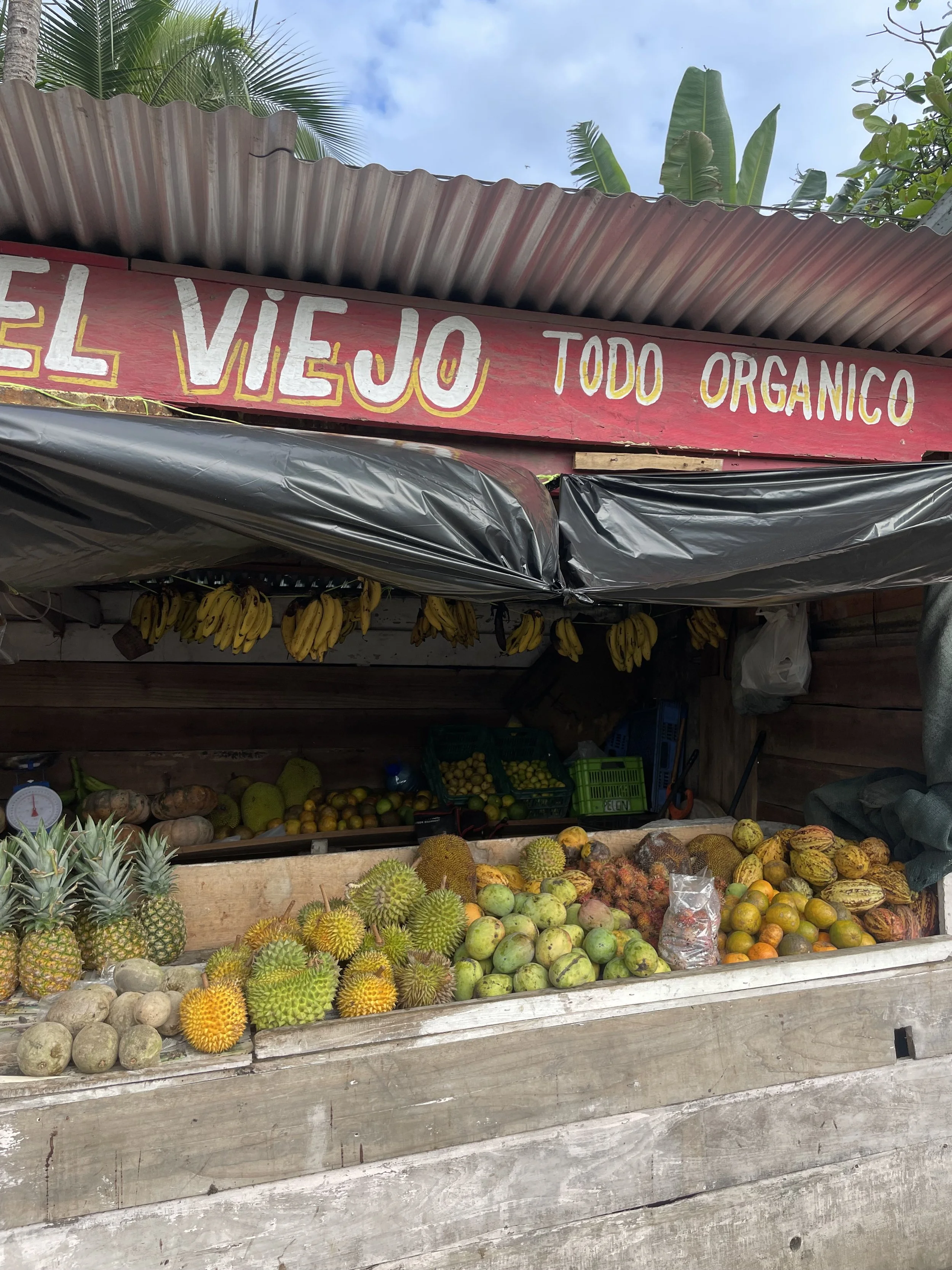 A rustic fruit stand with a variety of organic fruits including pineapples, bananas, durians, and other tropical fruits. A sign above reads "El Viejo Todo Orgánico" indicating all products are organic. Green foliage is visible in the background.