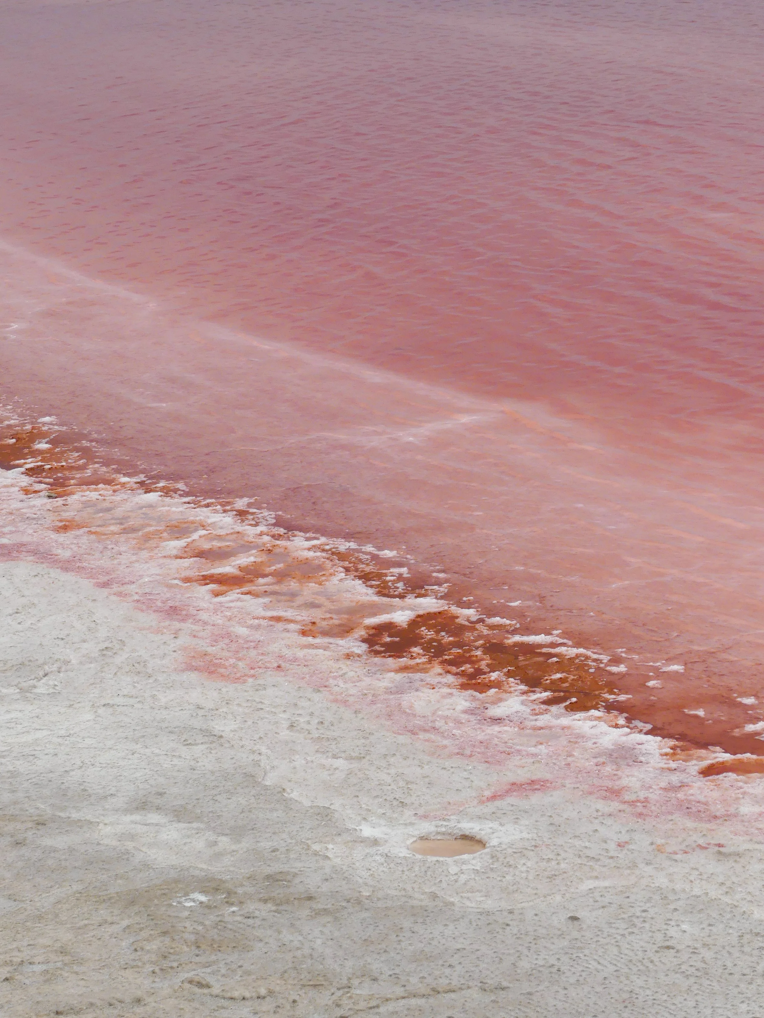 Bright pink salt lakes in Namibia desert landscape near Swakopmund