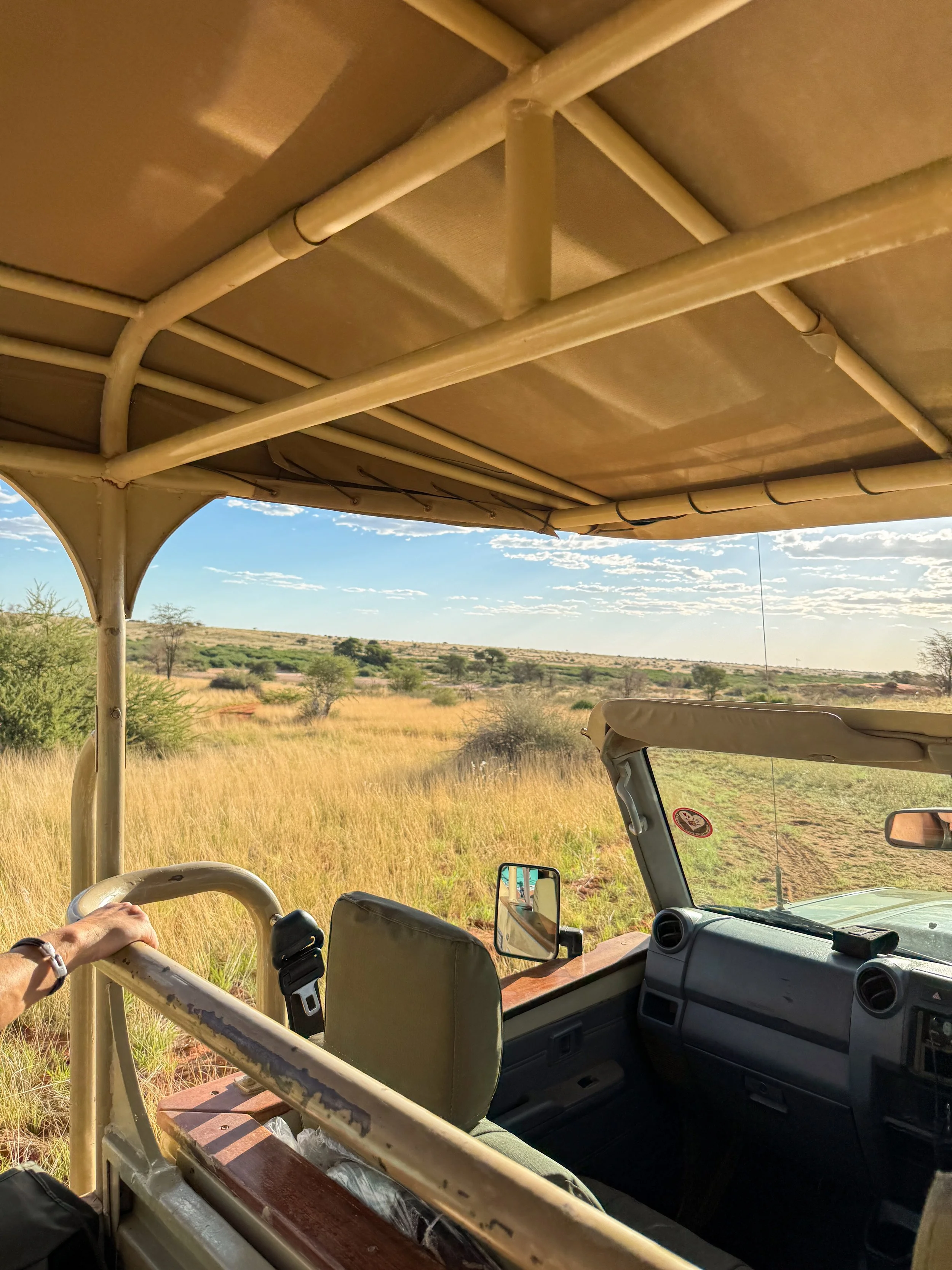 Self drive Namibia roadtrip through remote and untouched landscape