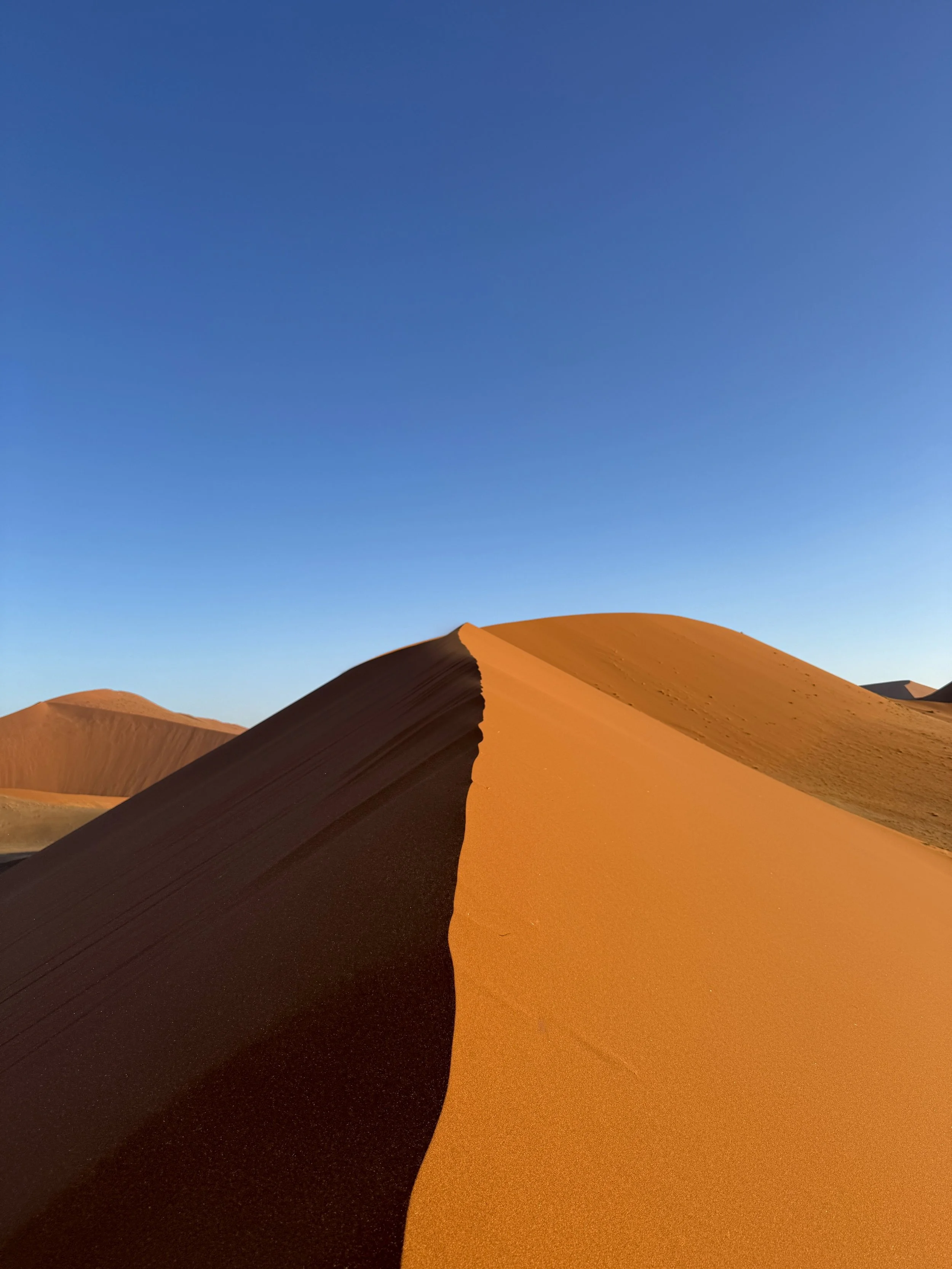 Namib desert landscape with towering dunes in Sossusvlei Namibia