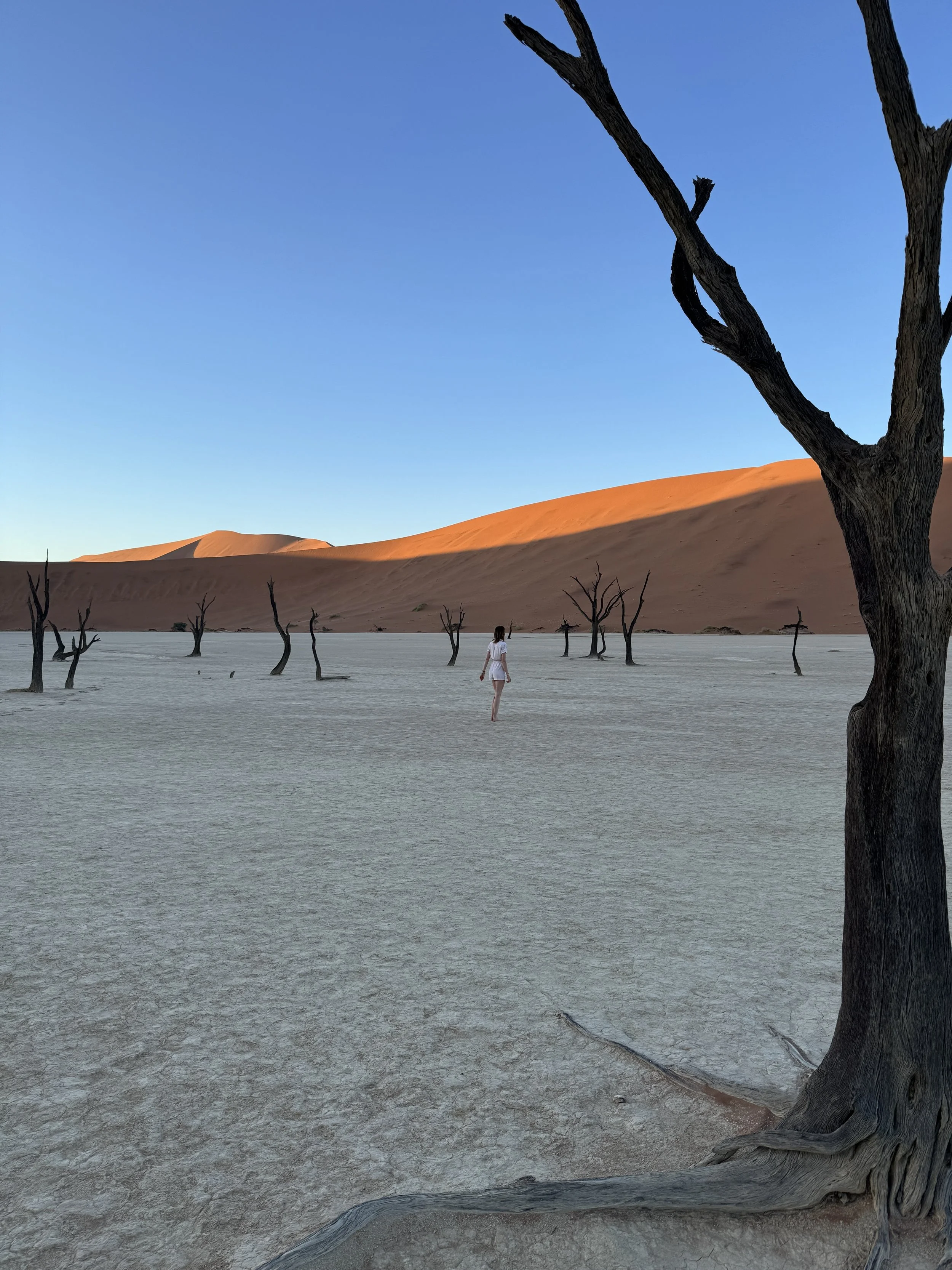 sunrise at Deadvlei's white clay pan with black trees in Namib desert Namibia