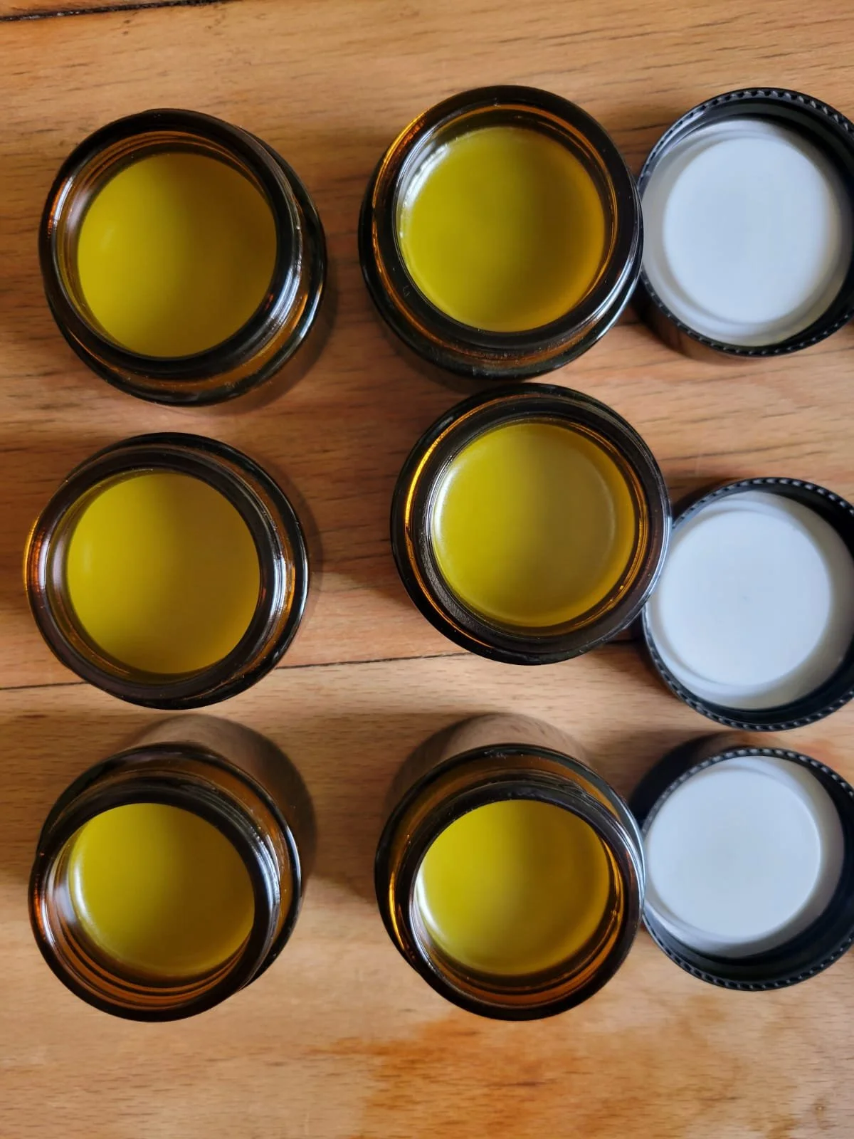 Late Summer Community Medicine Making: Herbal Balms & Infused Oils