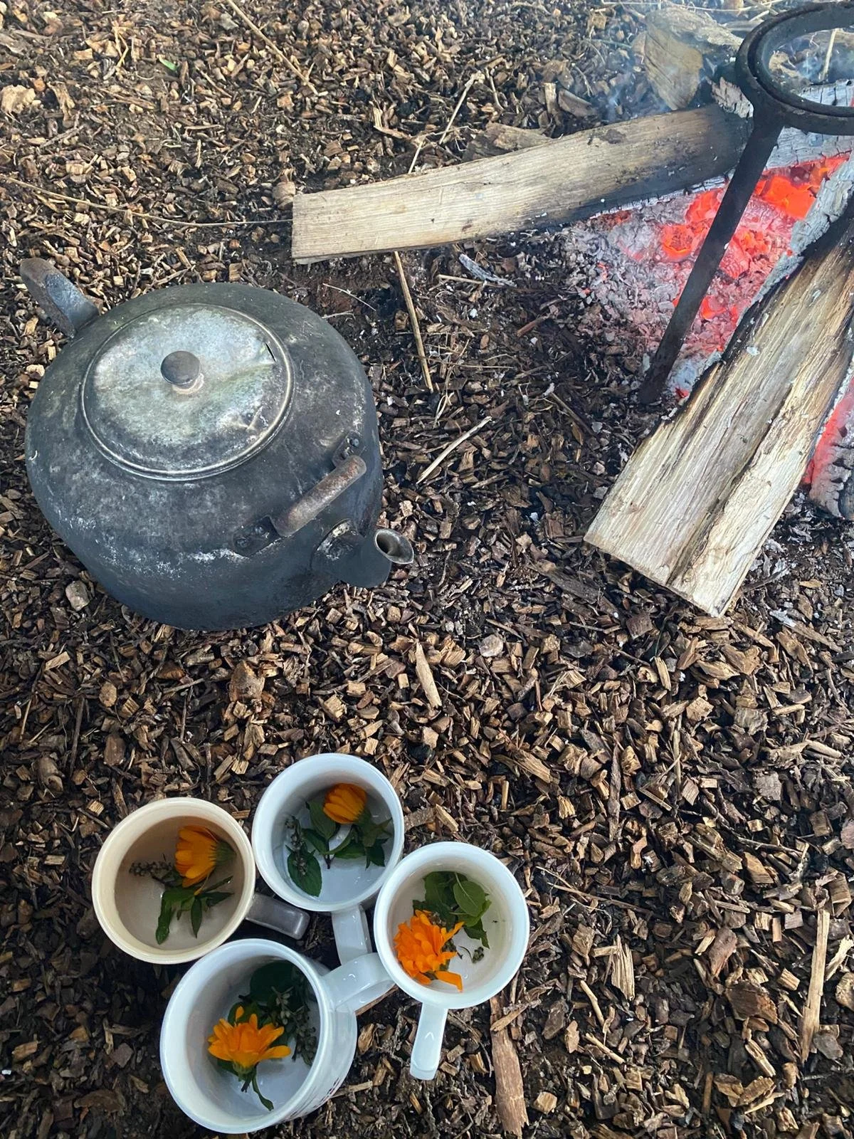 WhatsApp Image 2025-09-16 at 21.12.51.jpeg