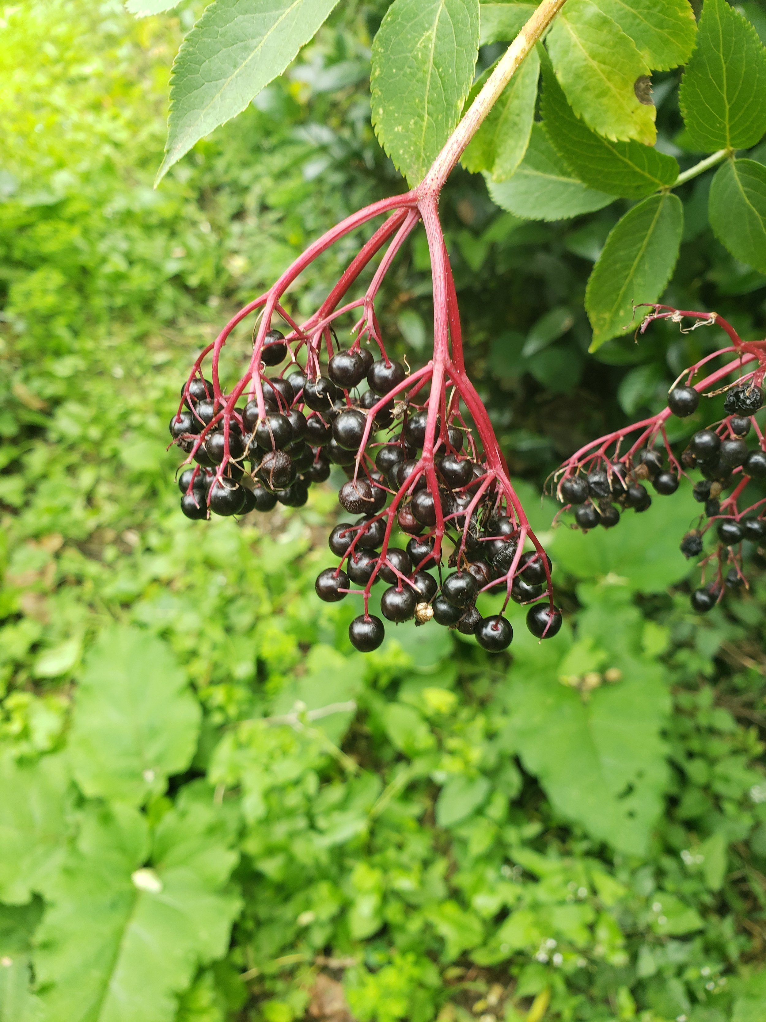 20230803_110554.jpg