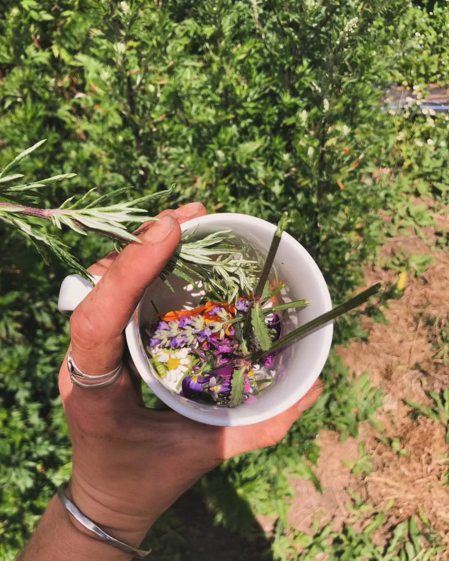 WhatsApp Image 2025-03-12 at 21.30.03 (2).jpeg