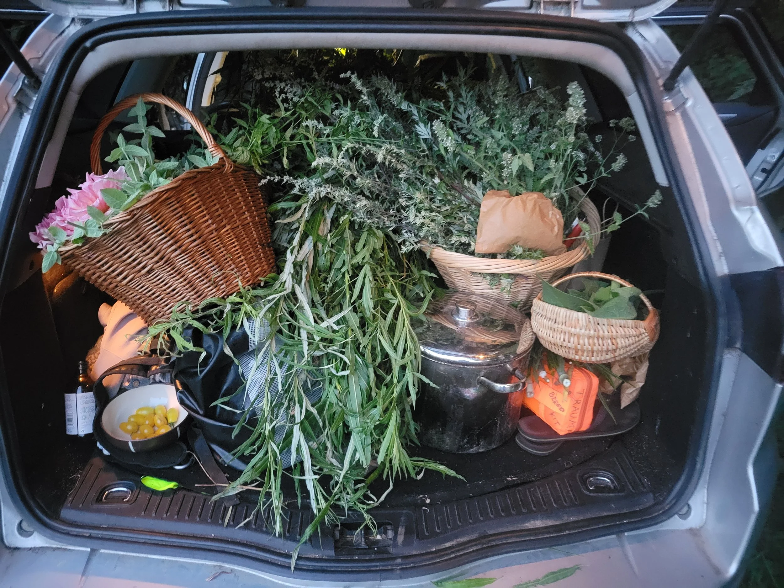 20250803_211055 (1).jpg