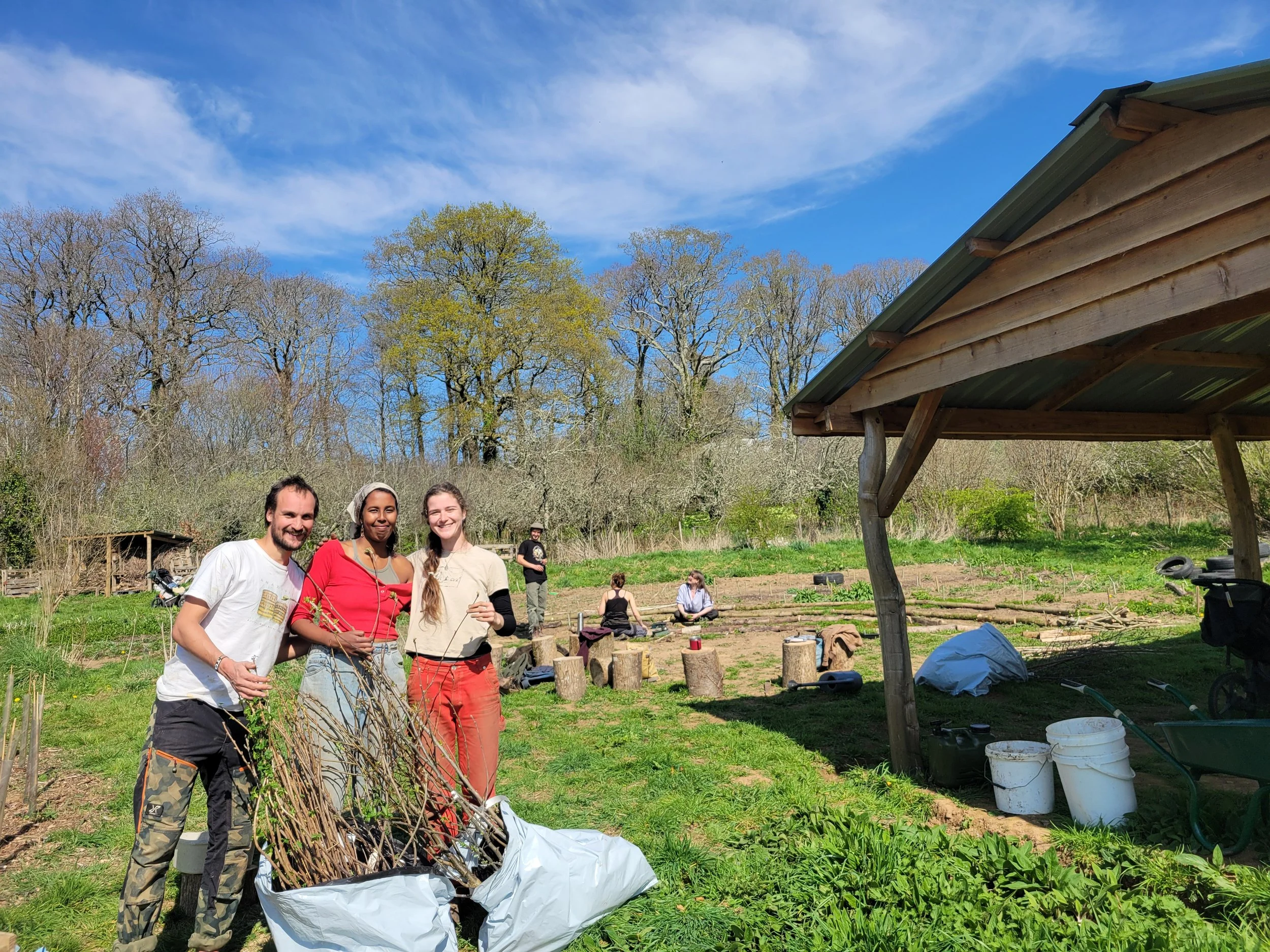 Looking back at 2025 with Radical Plant Folk