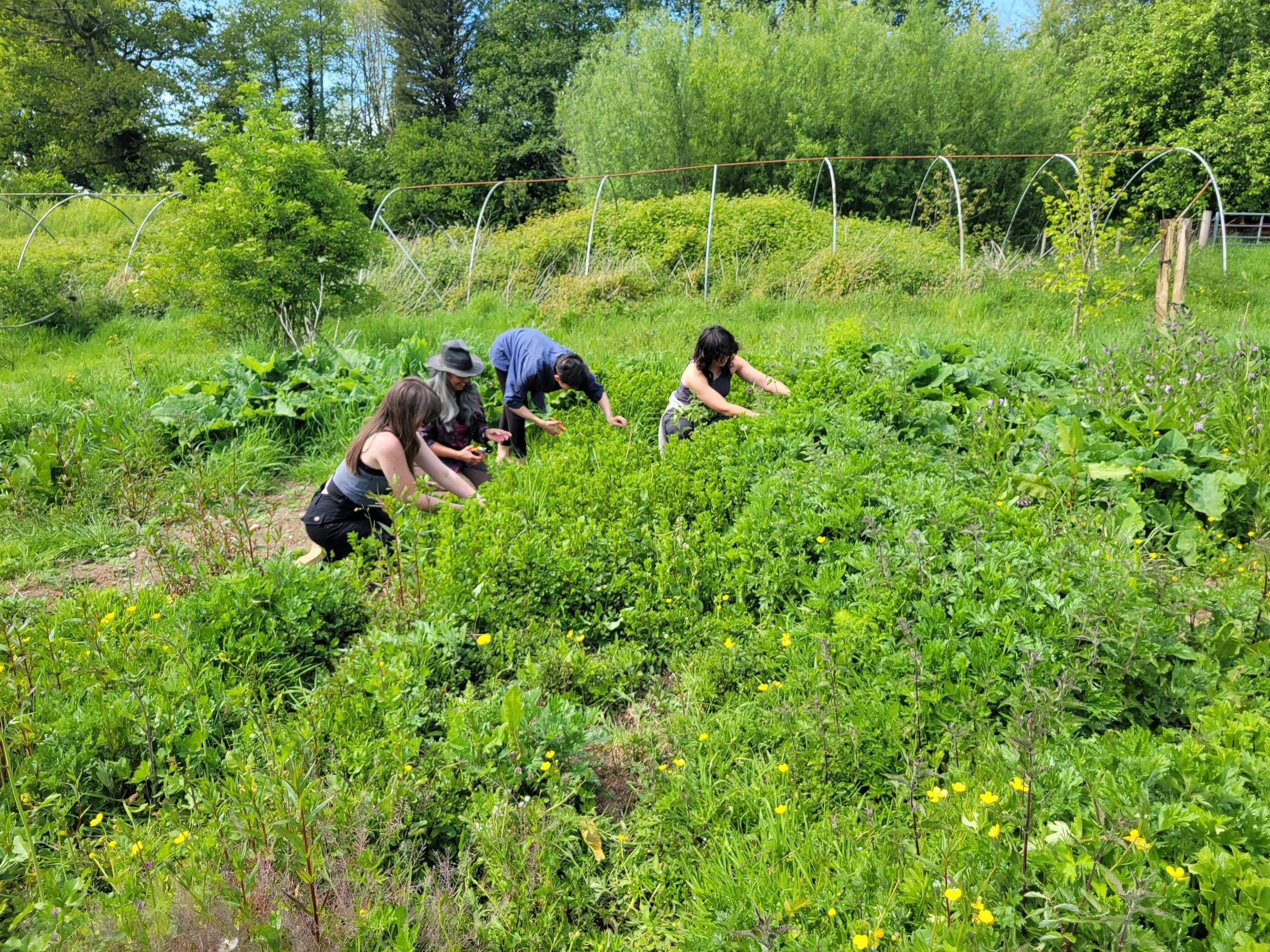 20250510_142924 (1).jpg