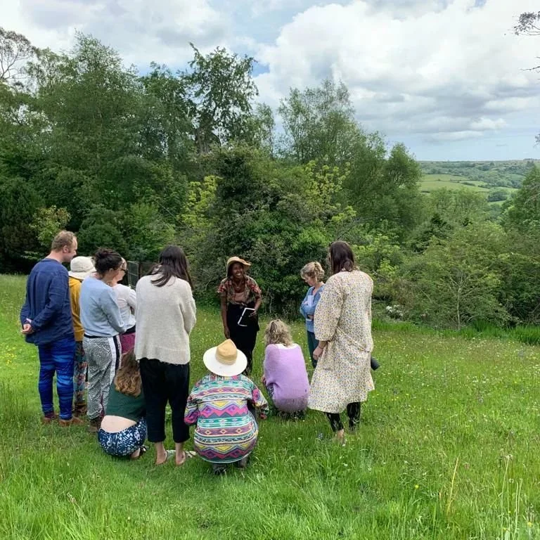 Spring wild food and medicine walk